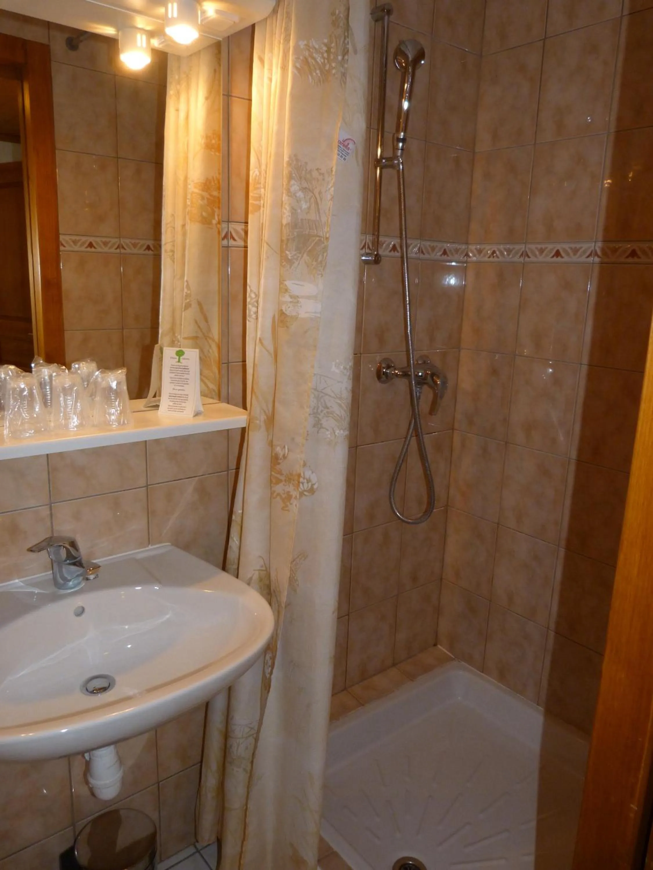 Shower in Hôtel Belalp