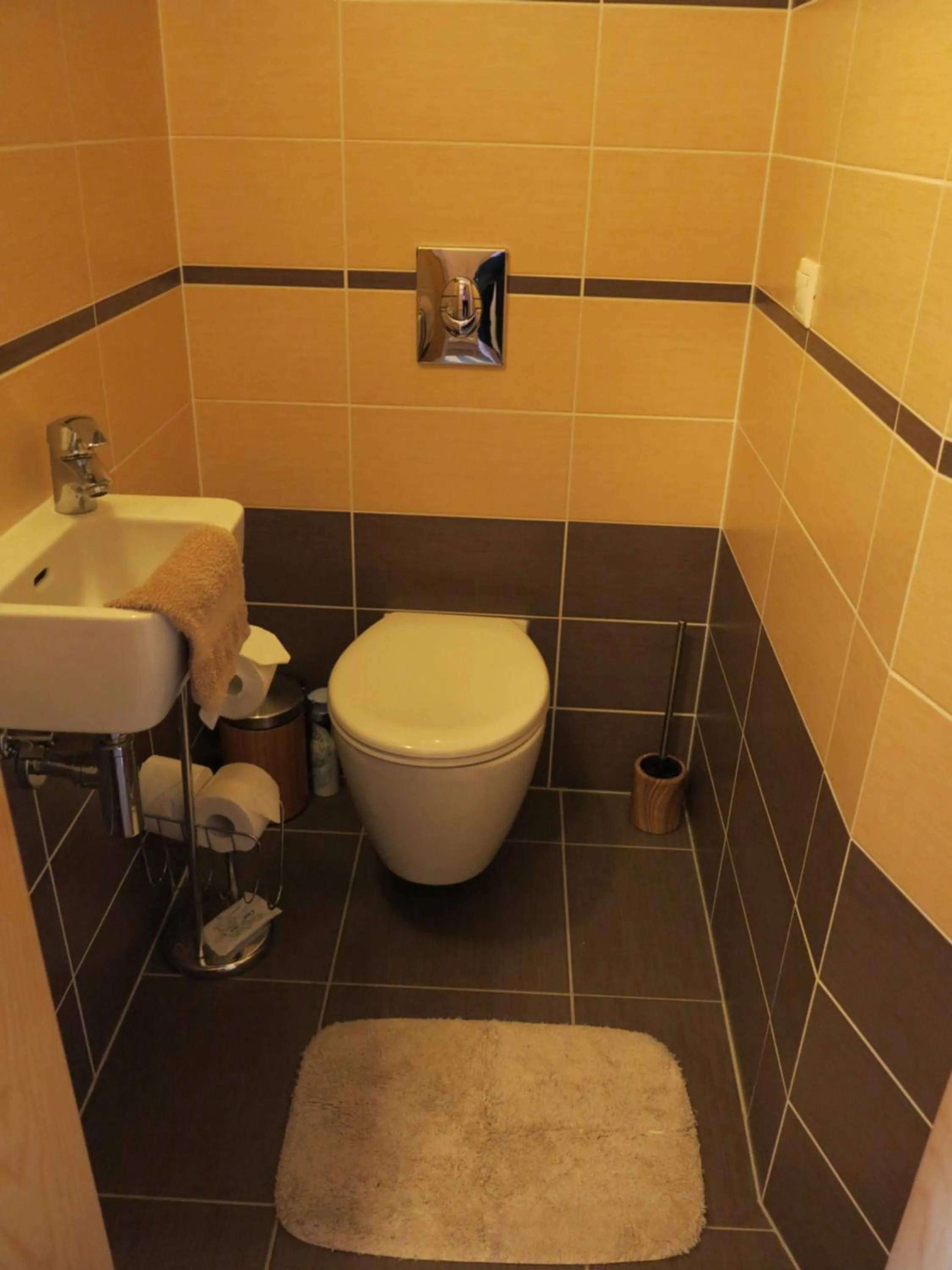 Toilet in Apartman Razula