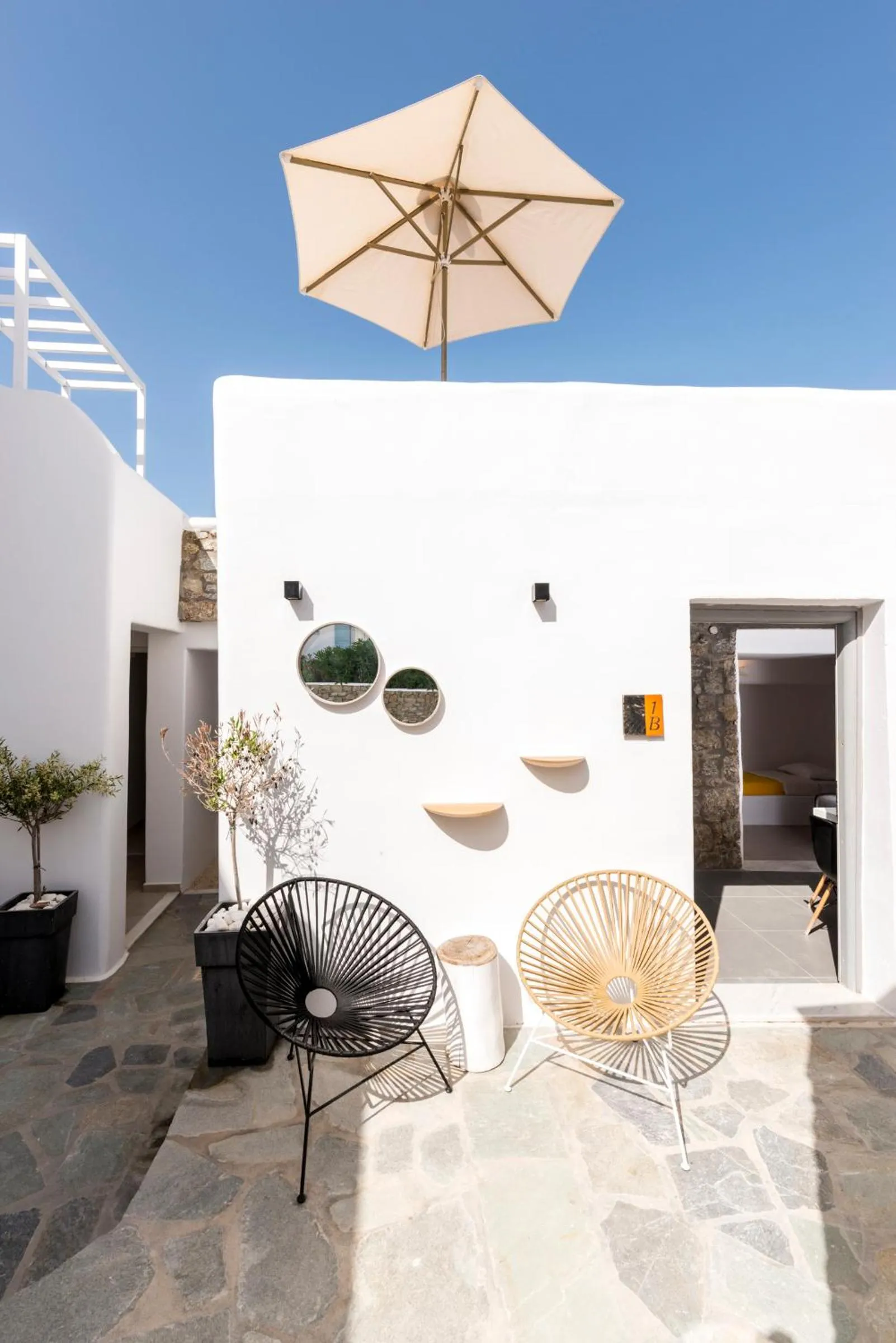 Garden in Artemoula's Studios