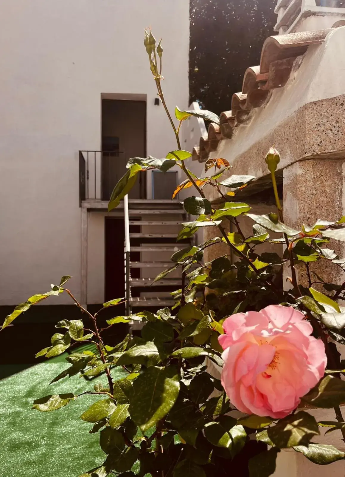 King Studio with Sofa Bed in The square King Studio with Sofa Bed in The square