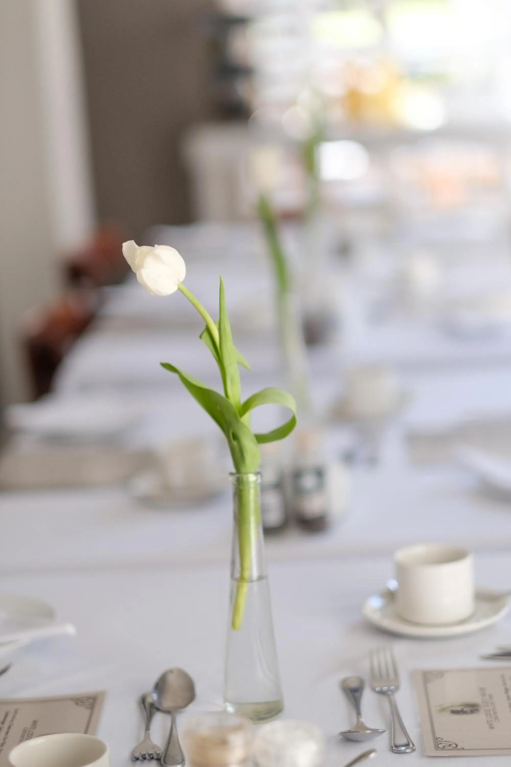 Dining area in Constantia White Lodge Guest House