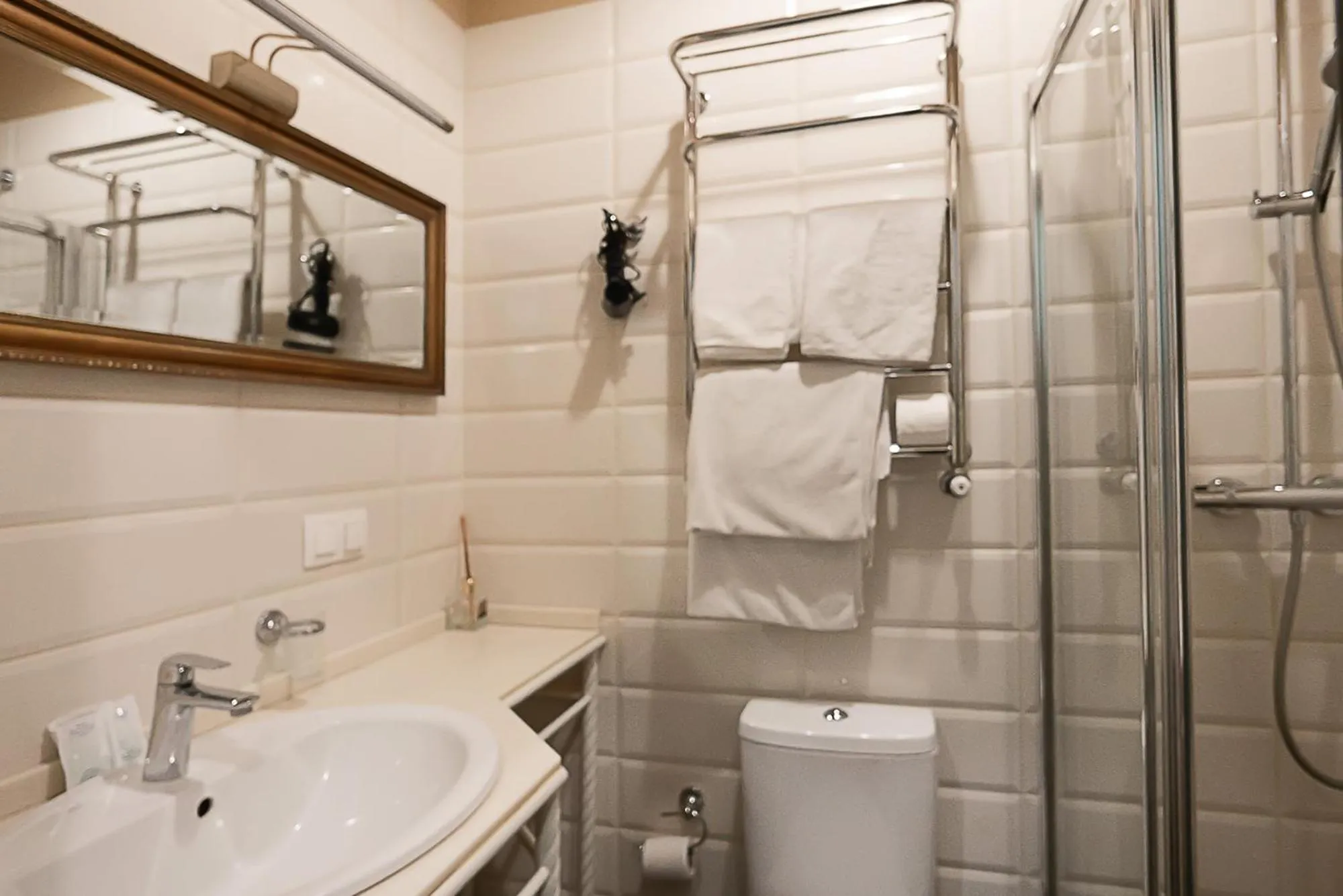 Shower in Apart Hotel Michelle