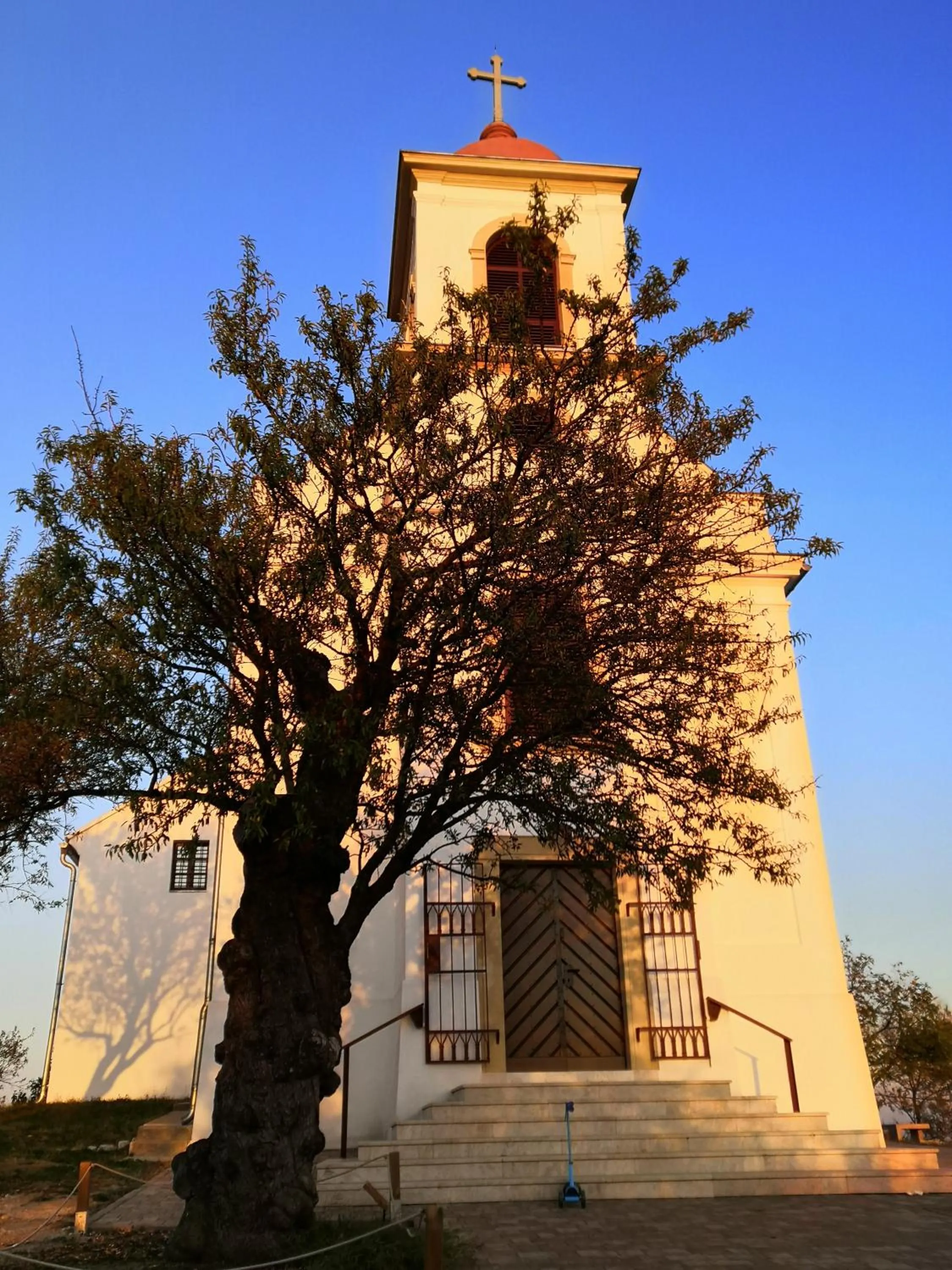 Nearby landmark in Vince apartman