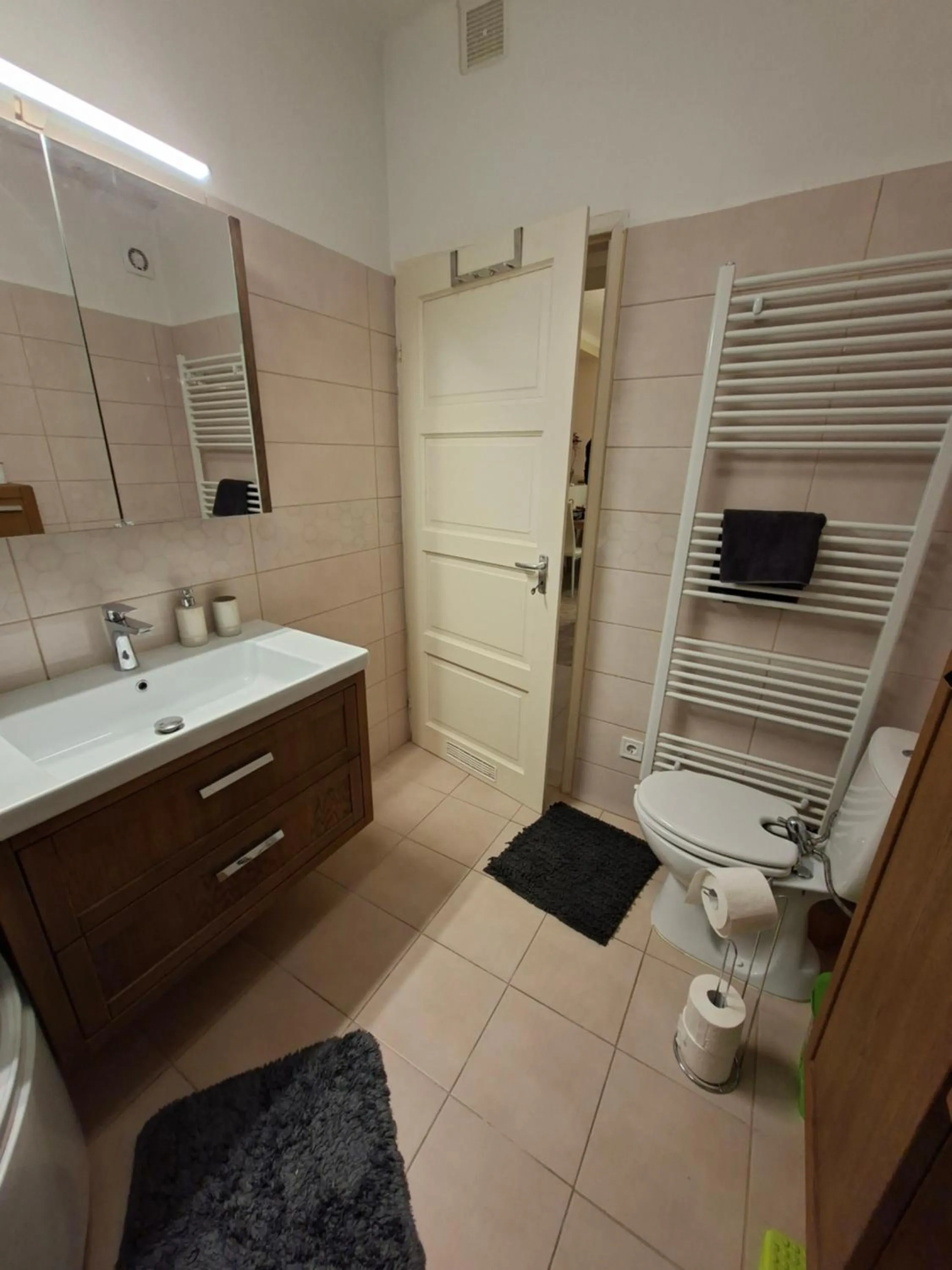 Toilet in Vince apartman