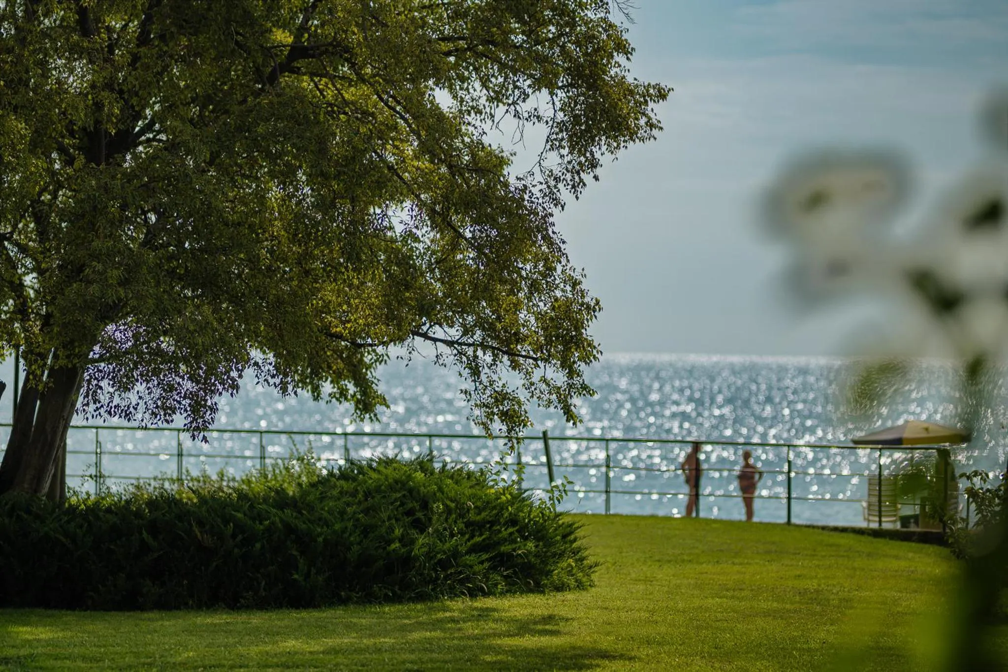 Garden in HVD Lotos Hotel - All Inclusive à-la-carte, Private Beach & Free Parking