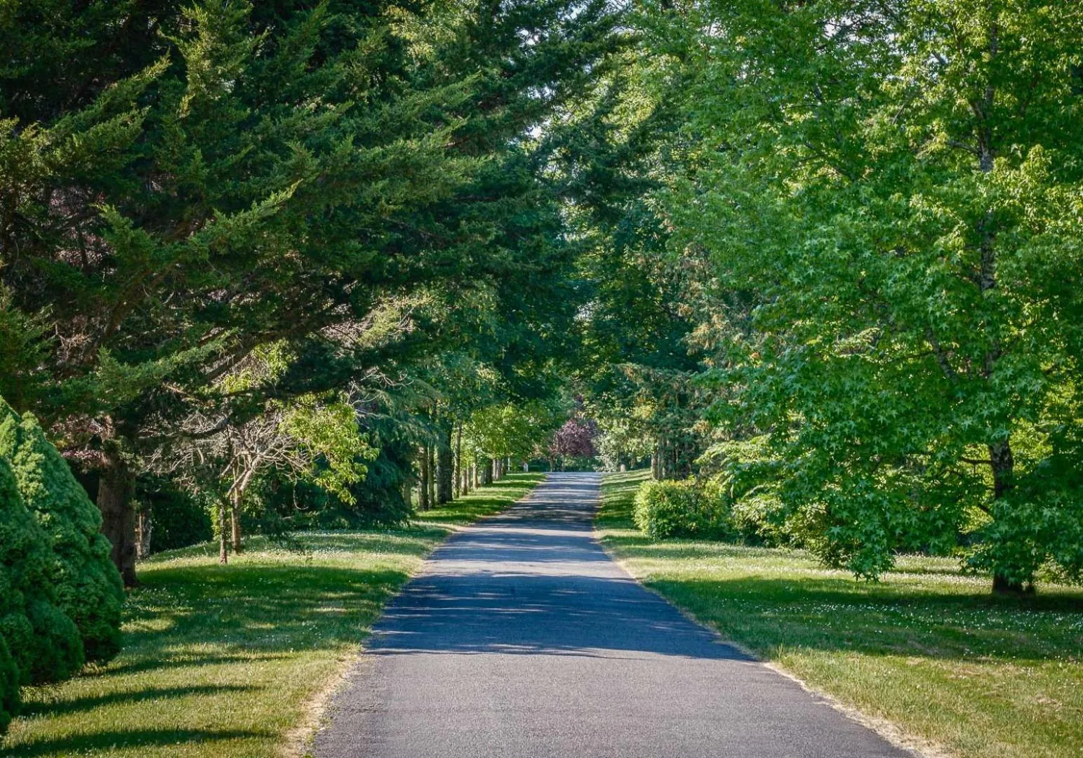 Natural landscape in Chateau De Rochecotte