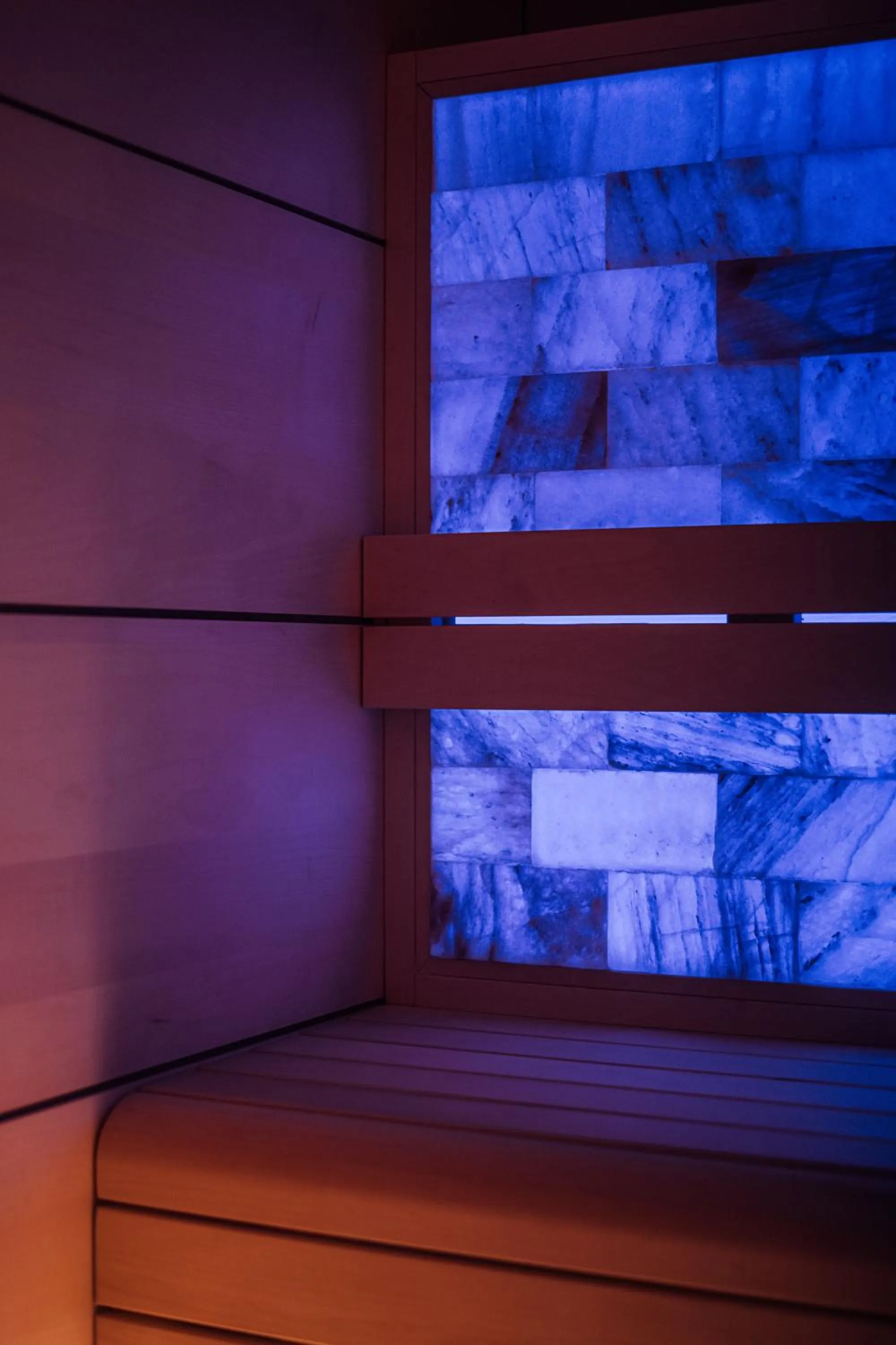 Sauna in Hôtel de la Loze