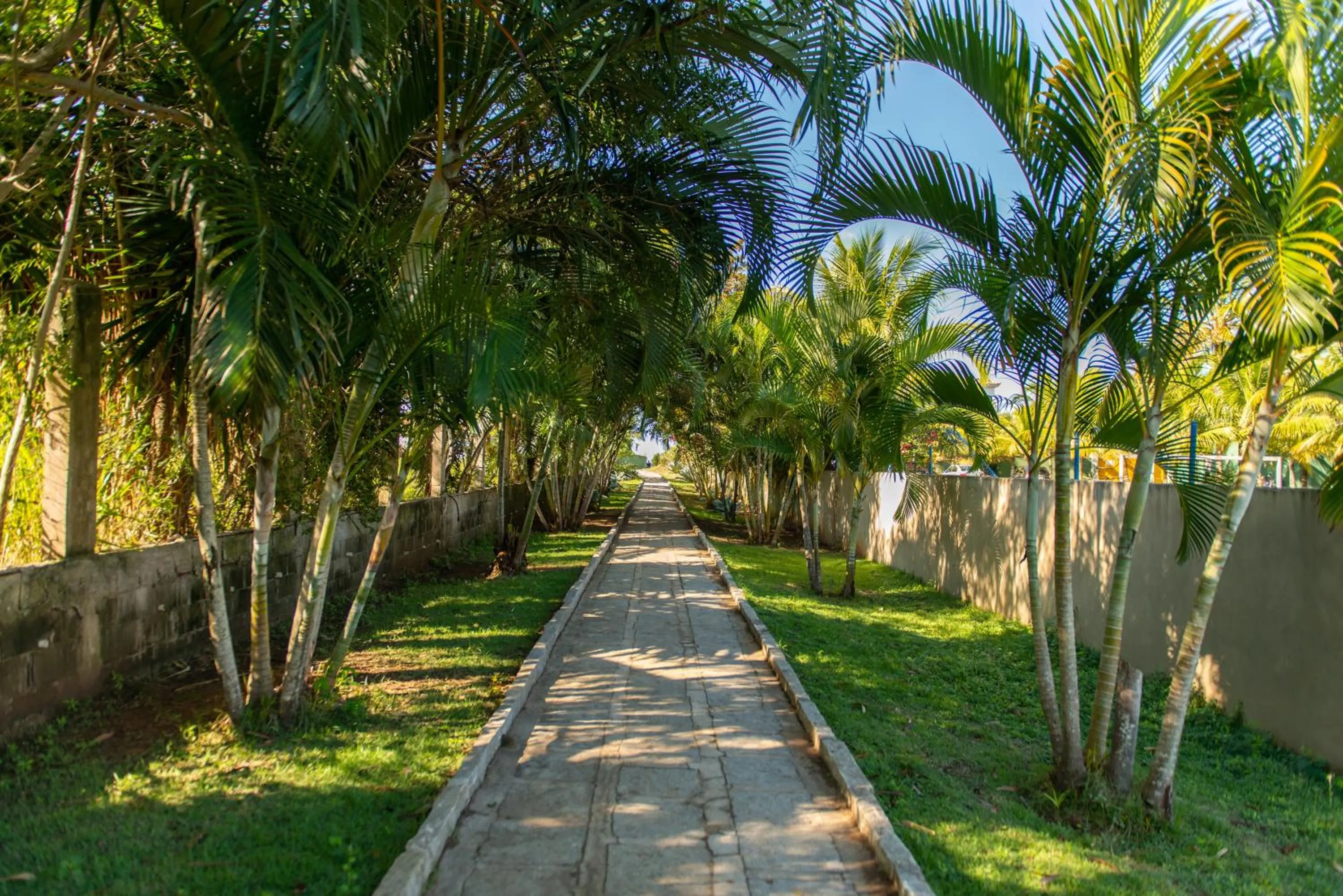 Natural landscape in Hotel Ferradura Resort