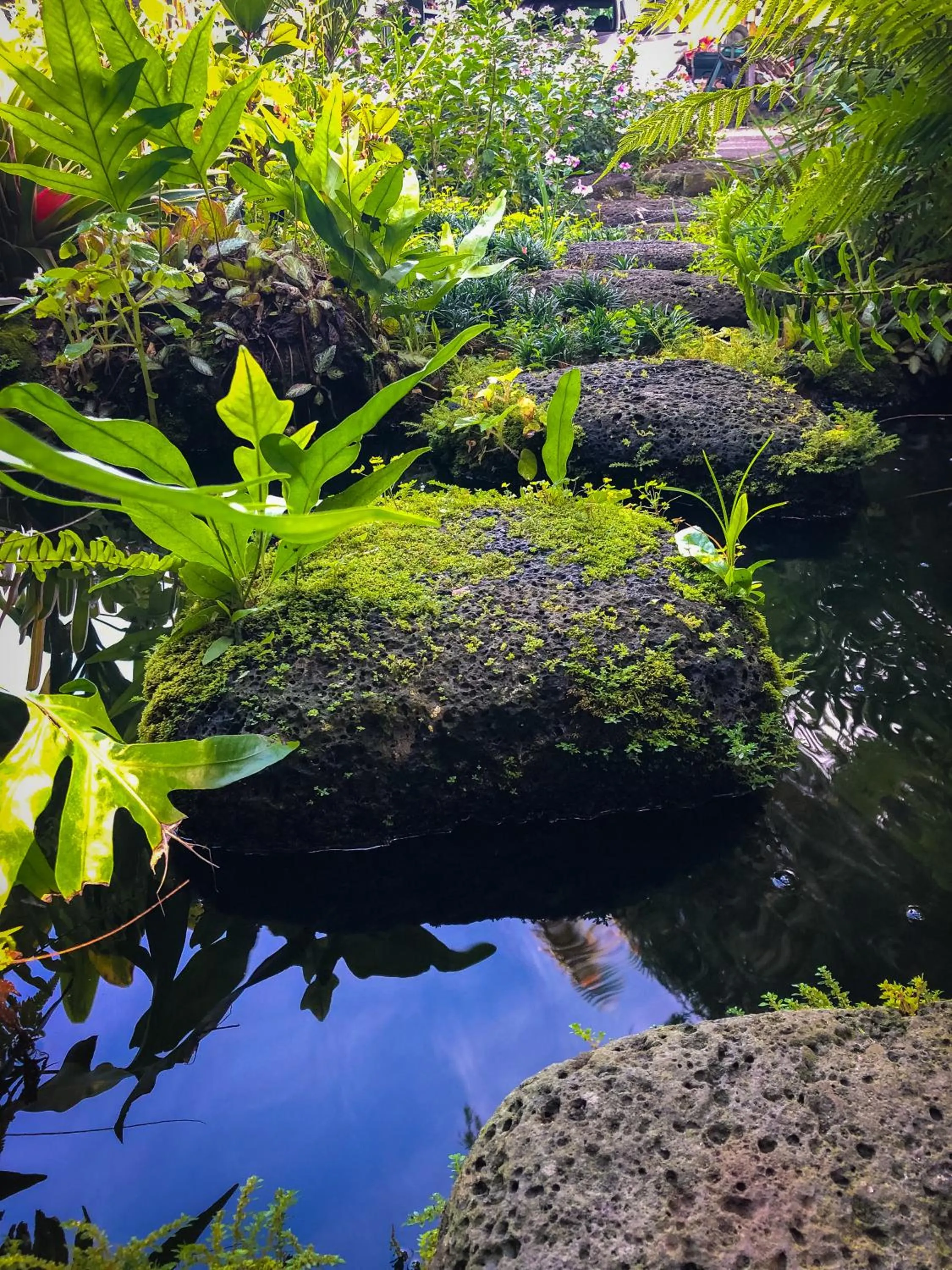 Natural landscape in Gingerhill Farm Retreat