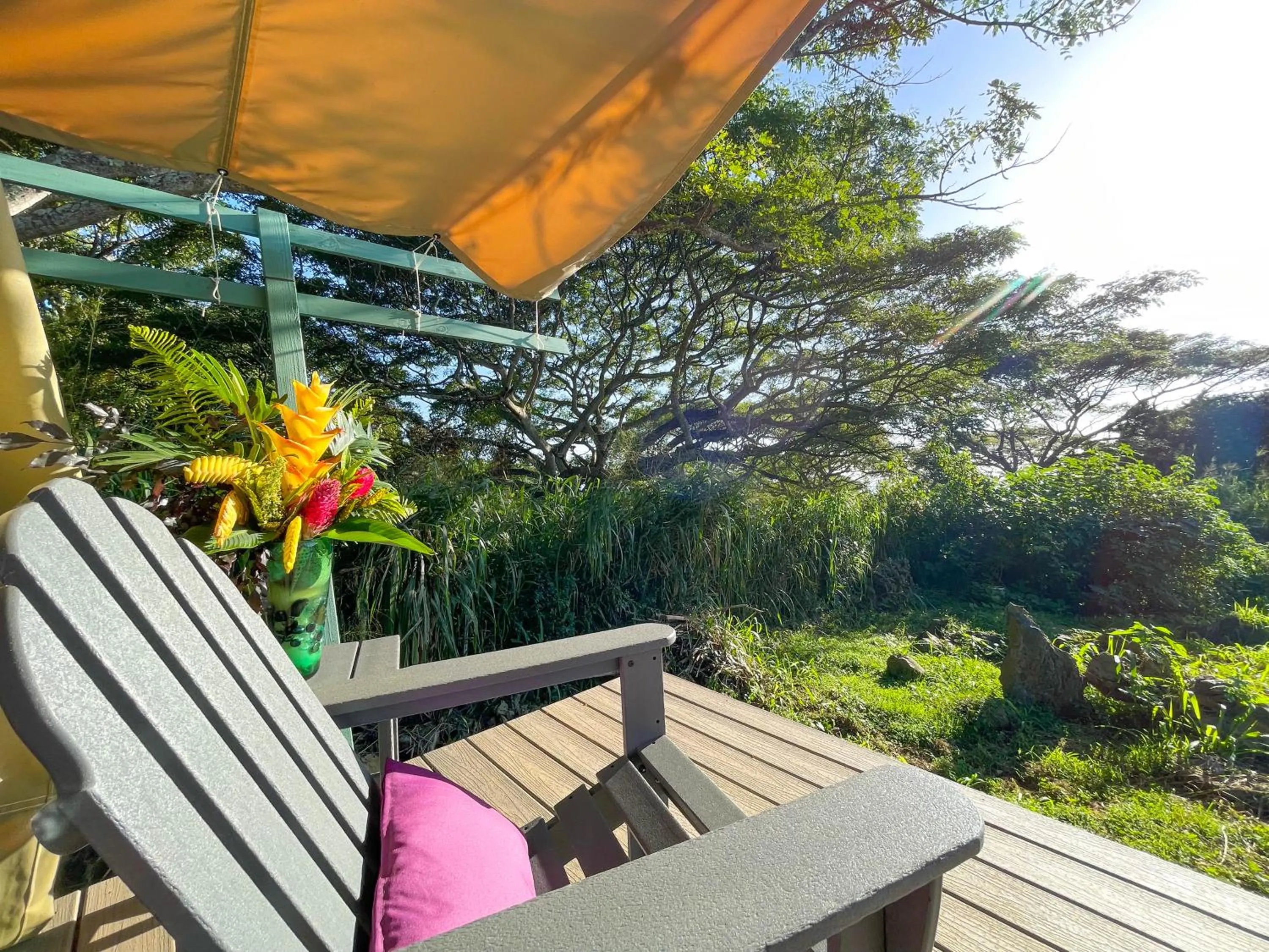 Day in Gingerhill Farm Retreat