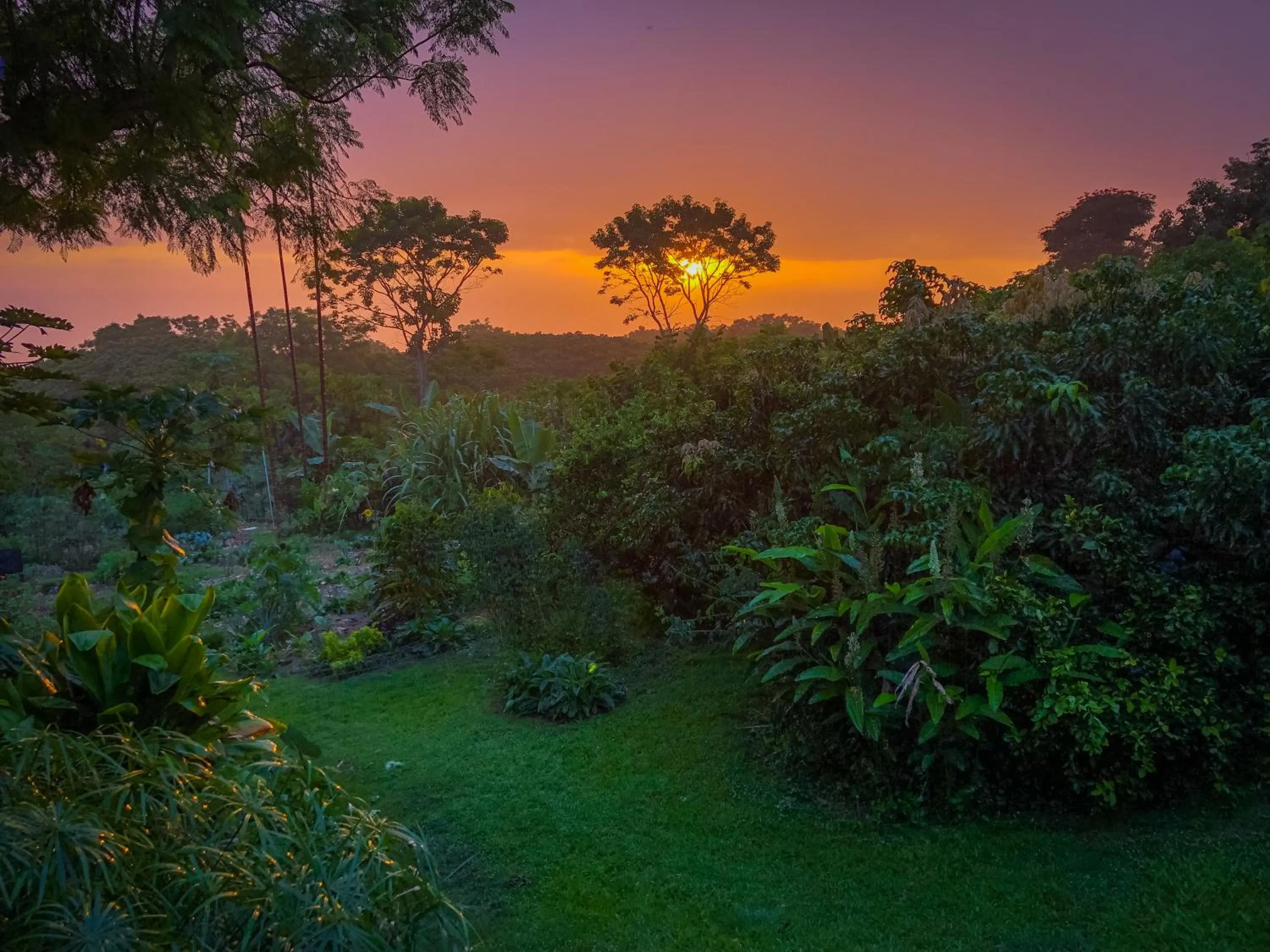 Natural landscape in Gingerhill Farm Retreat