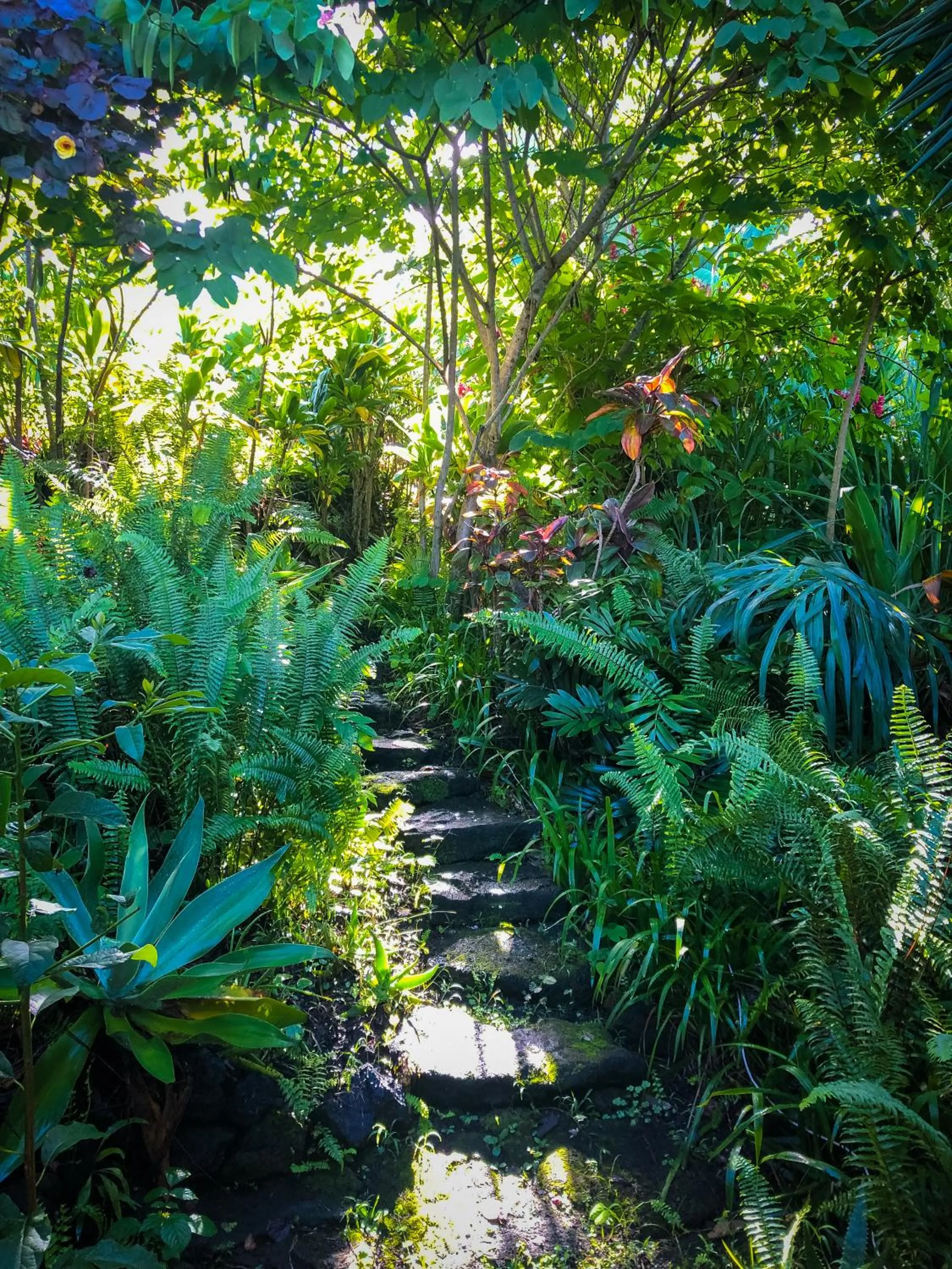 Natural landscape in Gingerhill Farm Retreat