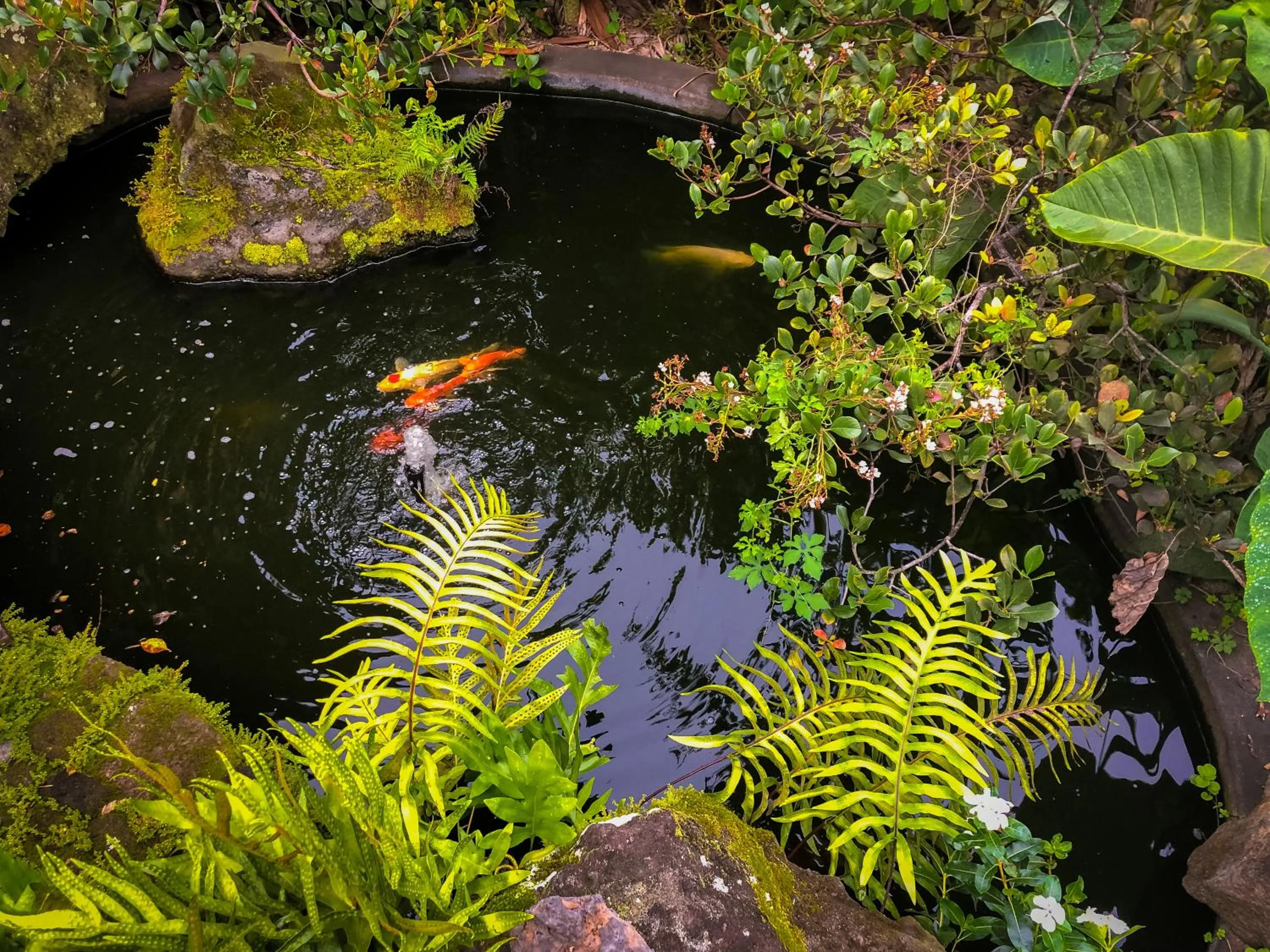 Decorative detail in Gingerhill Farm Retreat