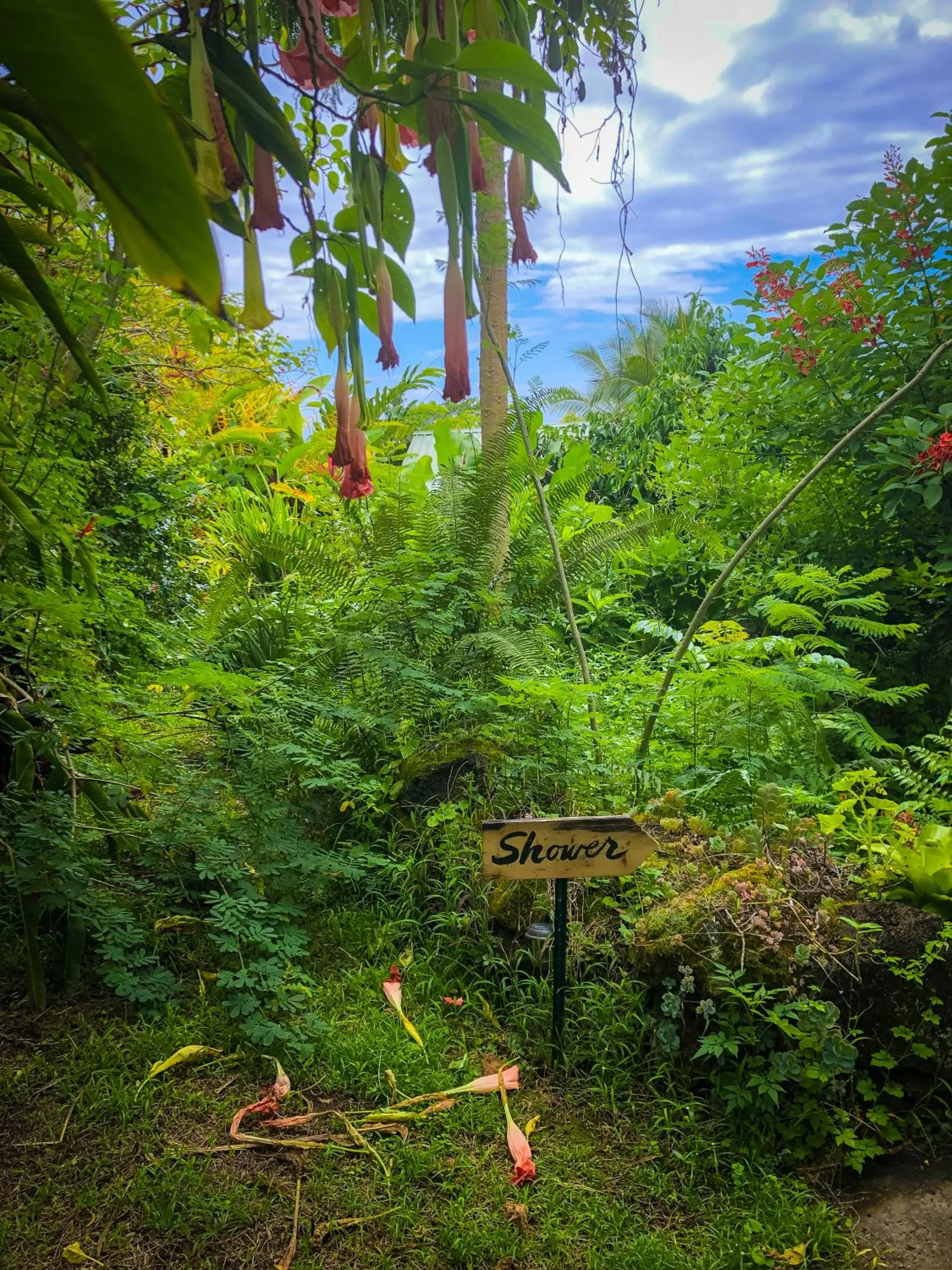 Natural landscape in Gingerhill Farm Retreat