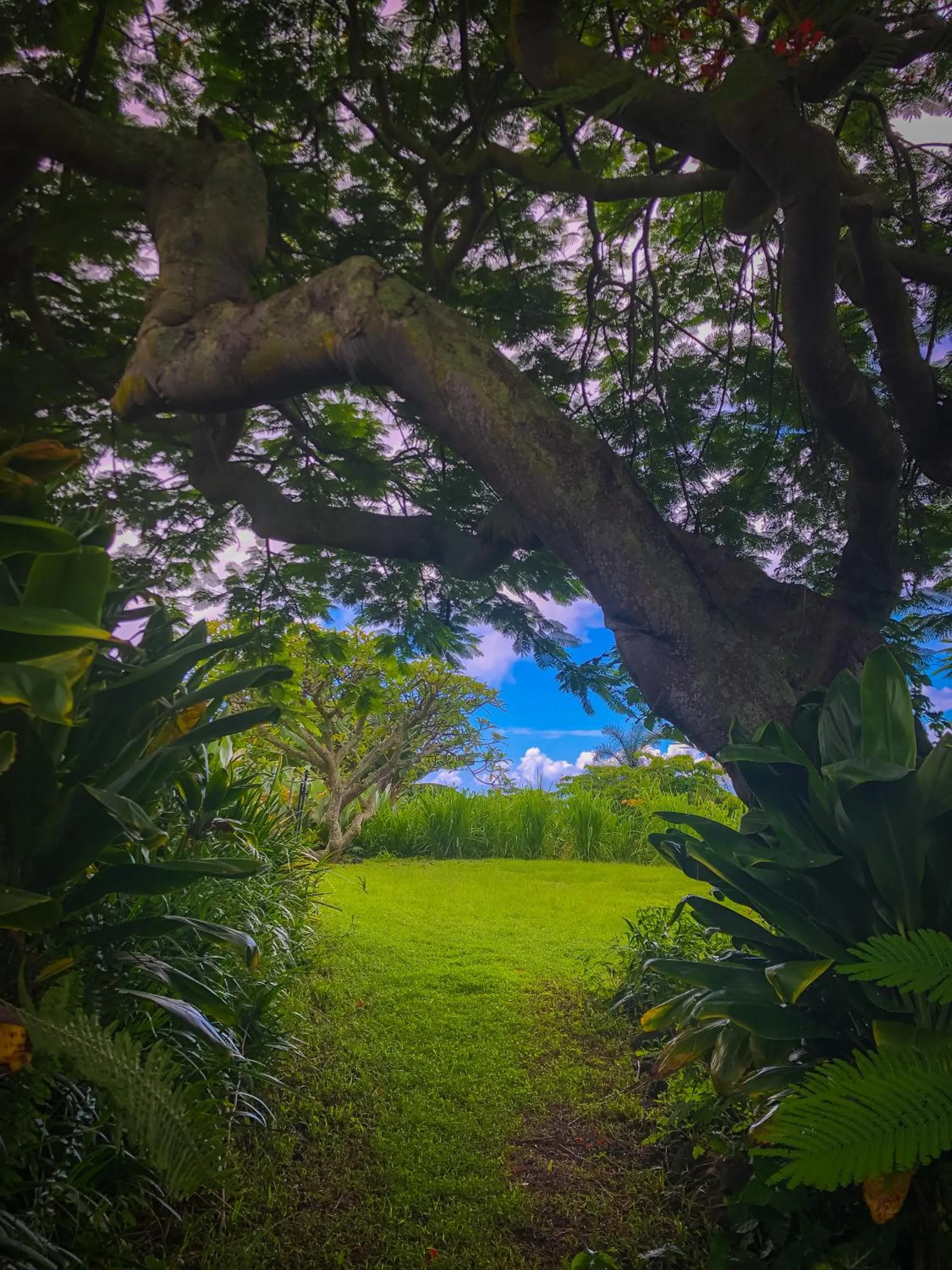 Natural landscape in Gingerhill Farm Retreat