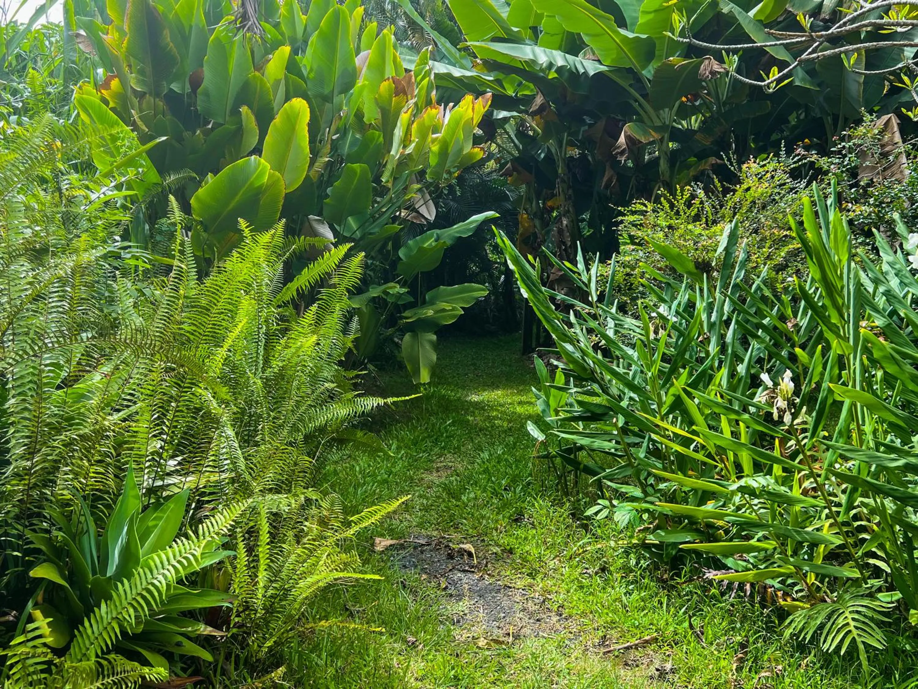 Facade/entrance in Gingerhill Farm Retreat