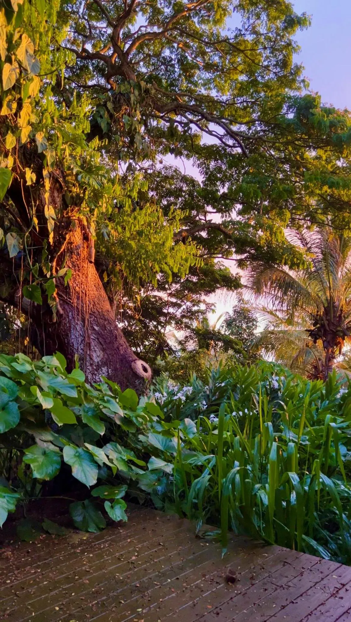 View (from property/room) in Gingerhill Farm Retreat