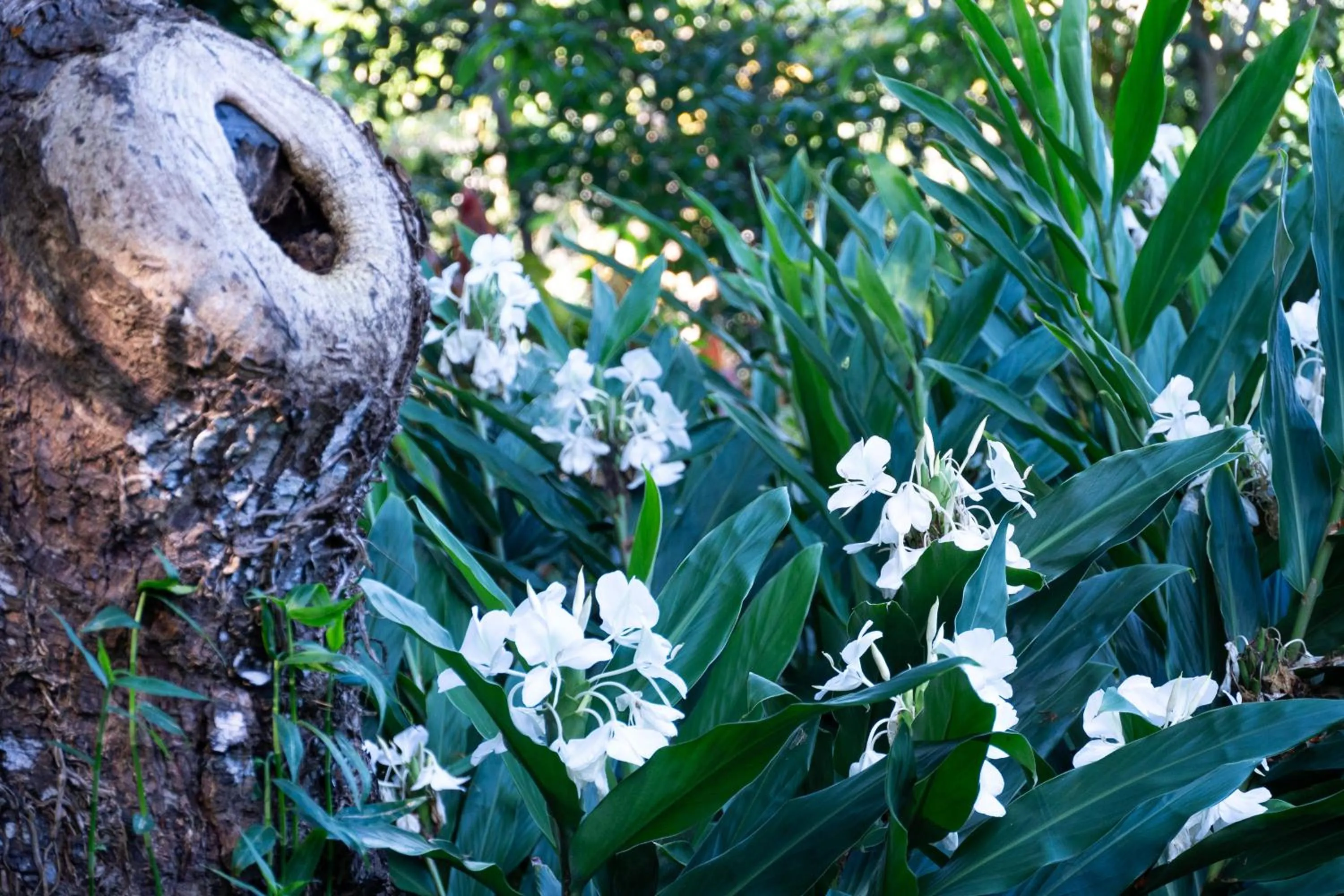 Decorative detail in Gingerhill Farm Retreat