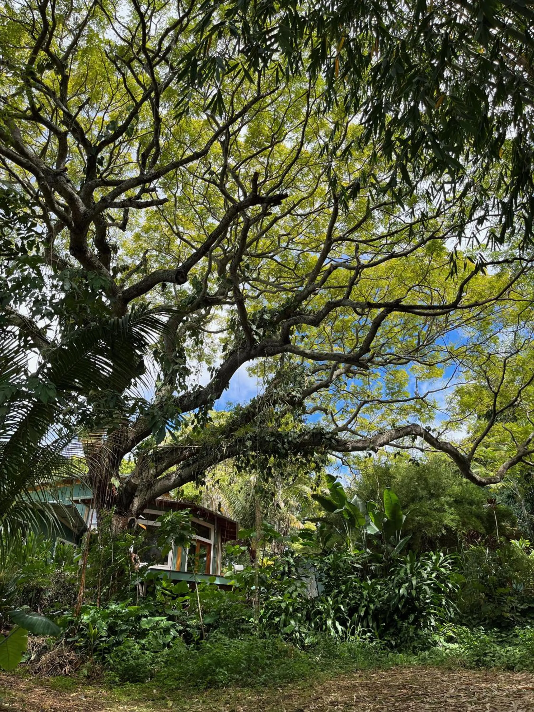 View (from property/room) in Gingerhill Farm Retreat