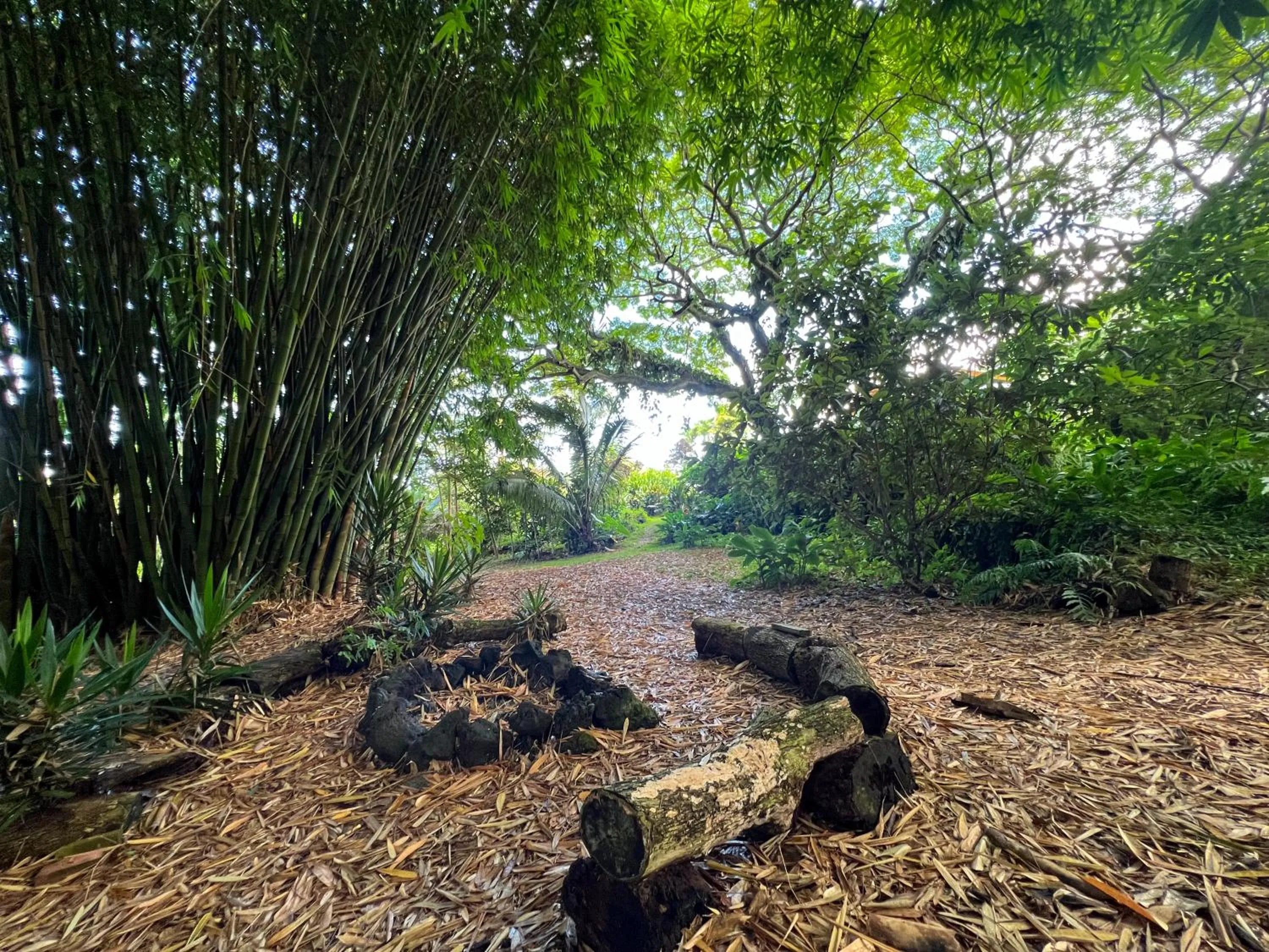 Natural landscape in Gingerhill Farm Retreat