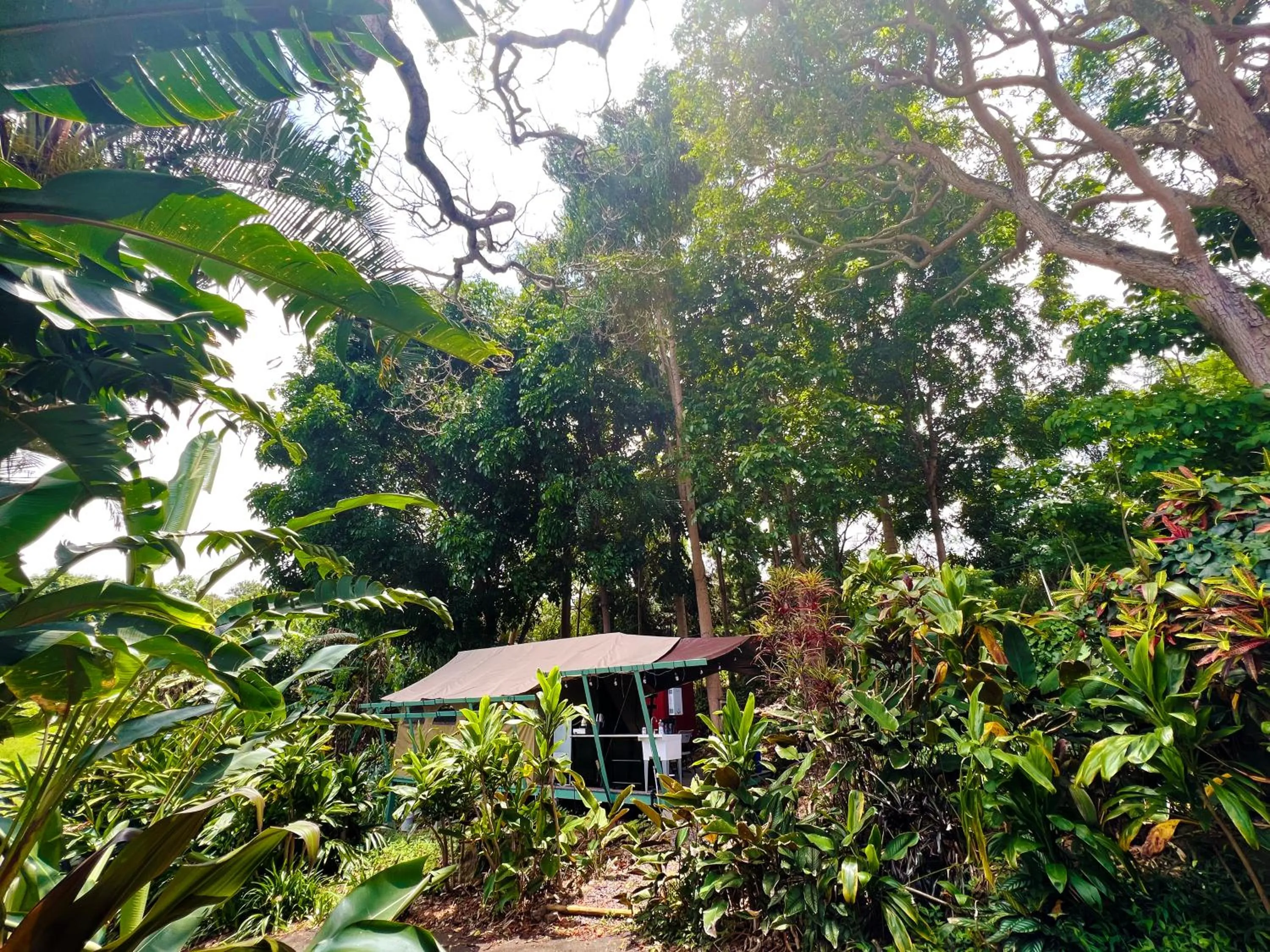 View (from property/room) in Gingerhill Farm Retreat