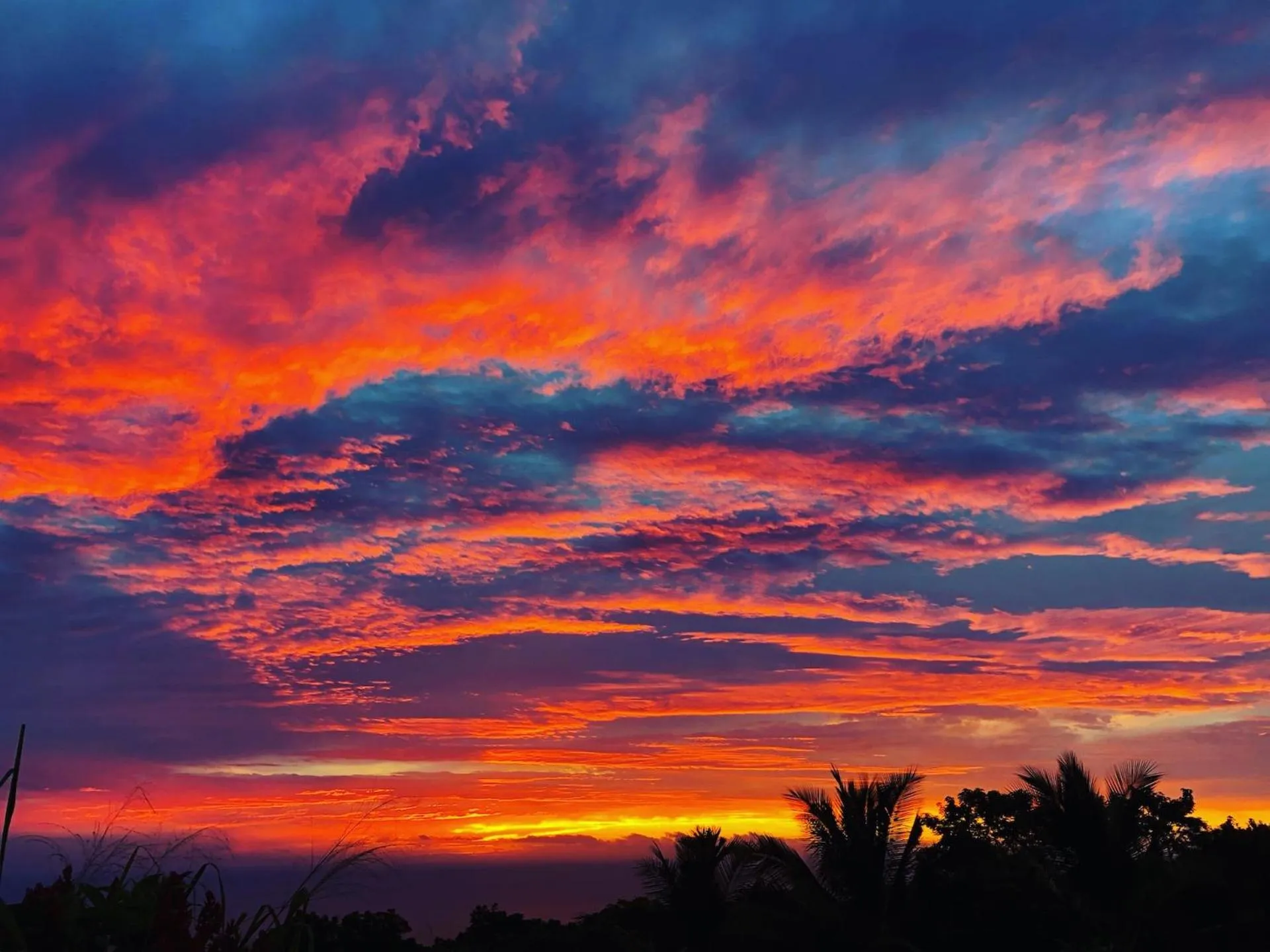 View (from property/room) in Gingerhill Farm Retreat