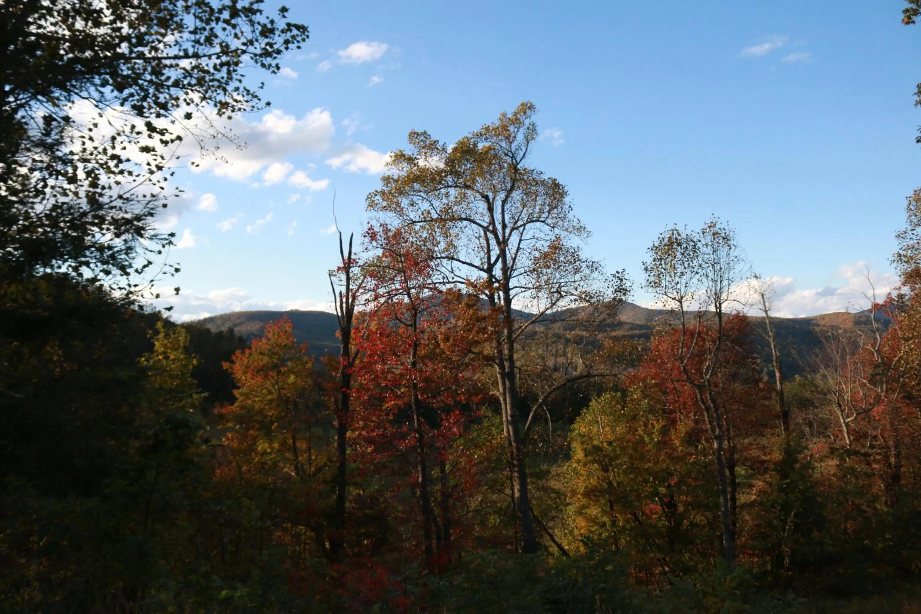 Natural landscape in Riverside Lodge at Chimney Rock