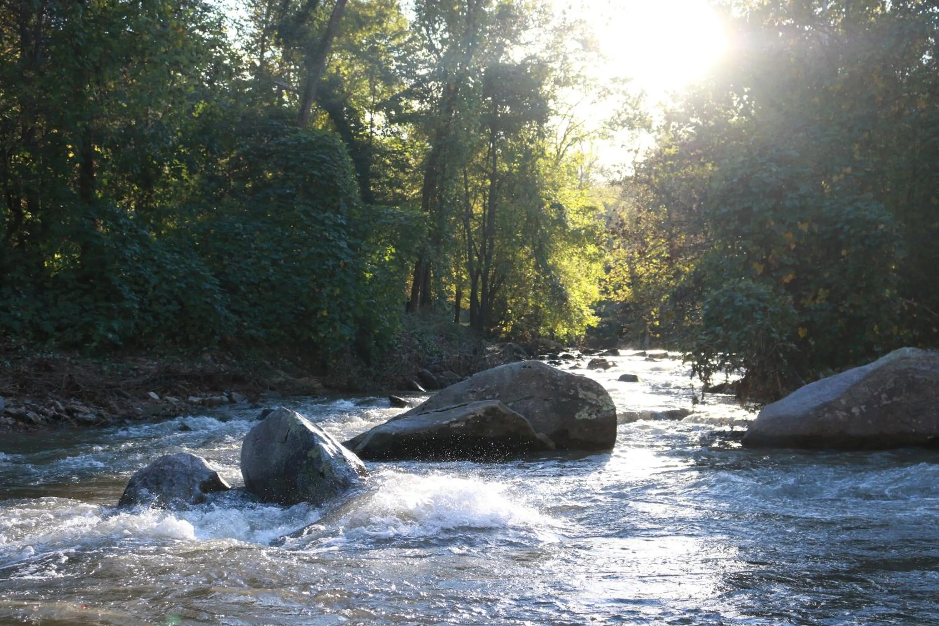 Natural landscape in Riverside Lodge at Chimney Rock