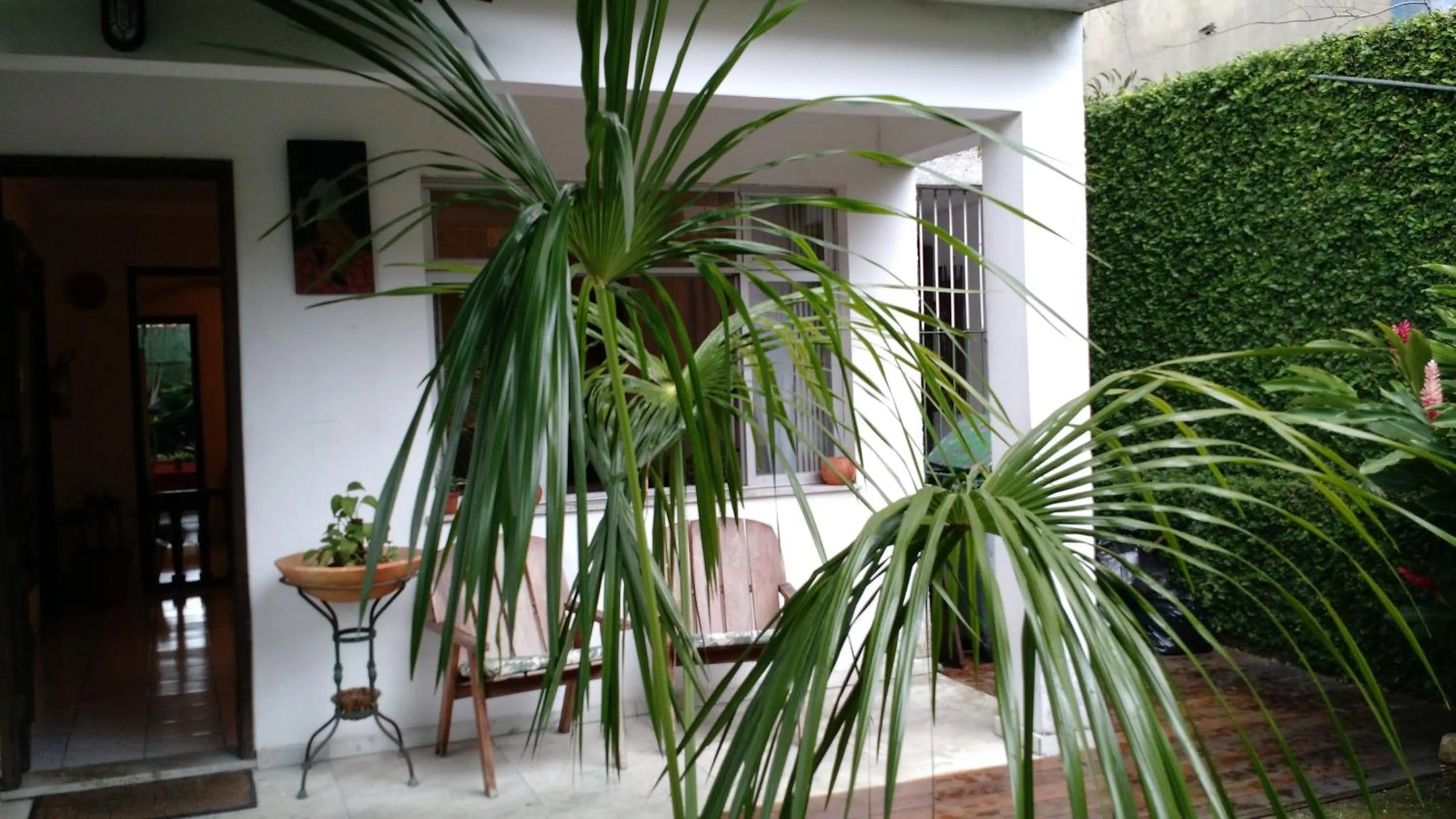 Patio in Ecopousada Miriti