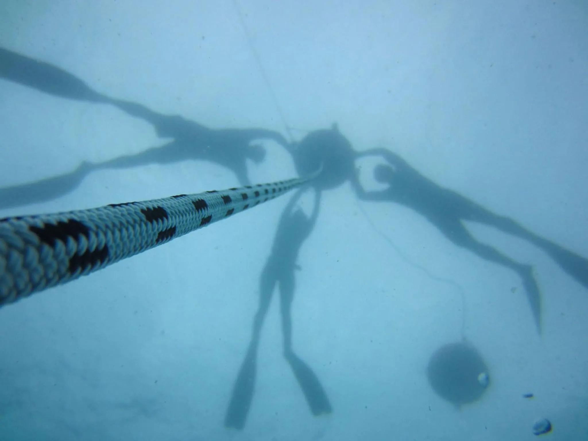 Diving in Mantaray Island Resort