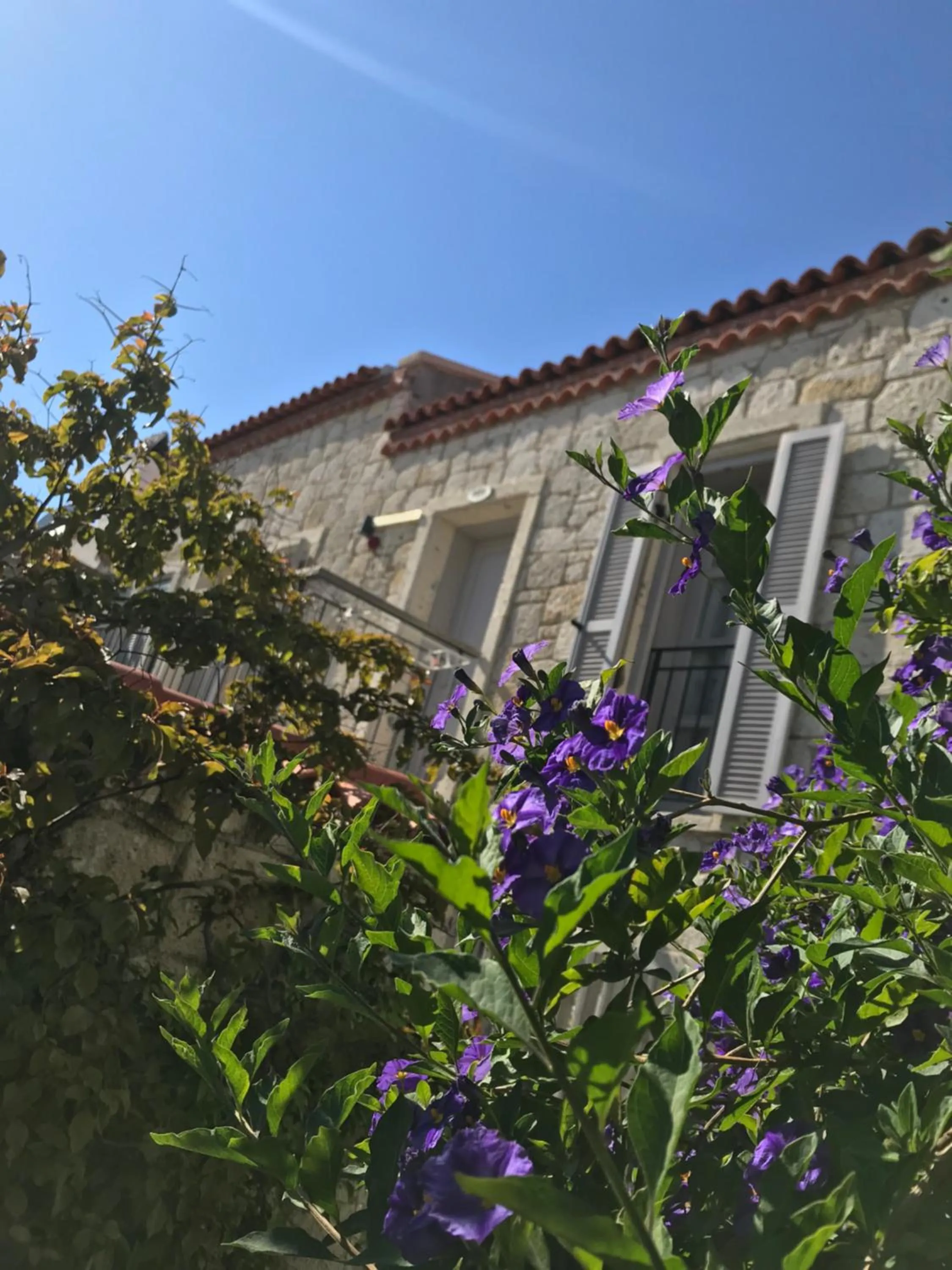 Property building in Çona Otel