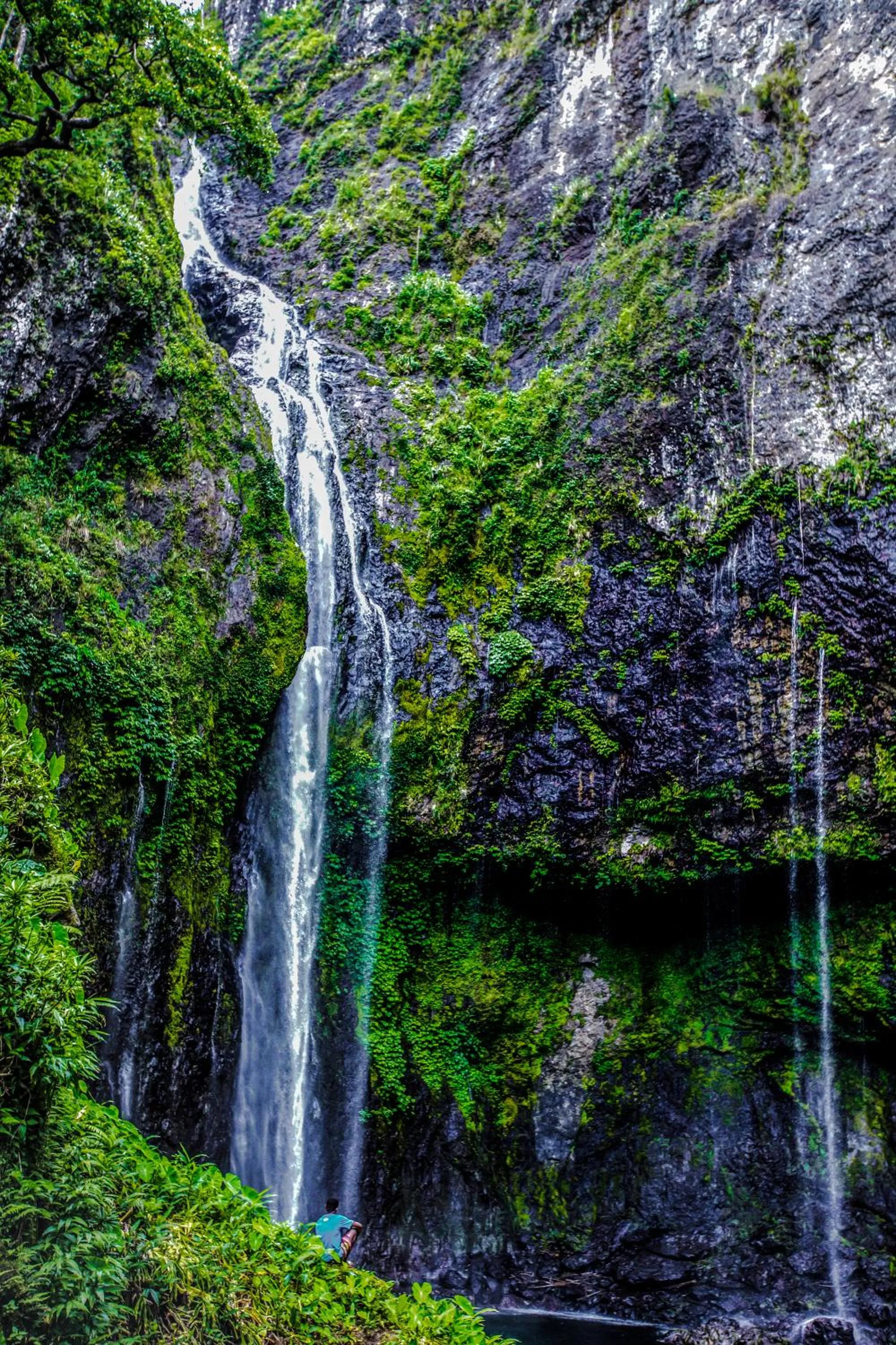 Volivoli Beach Resort