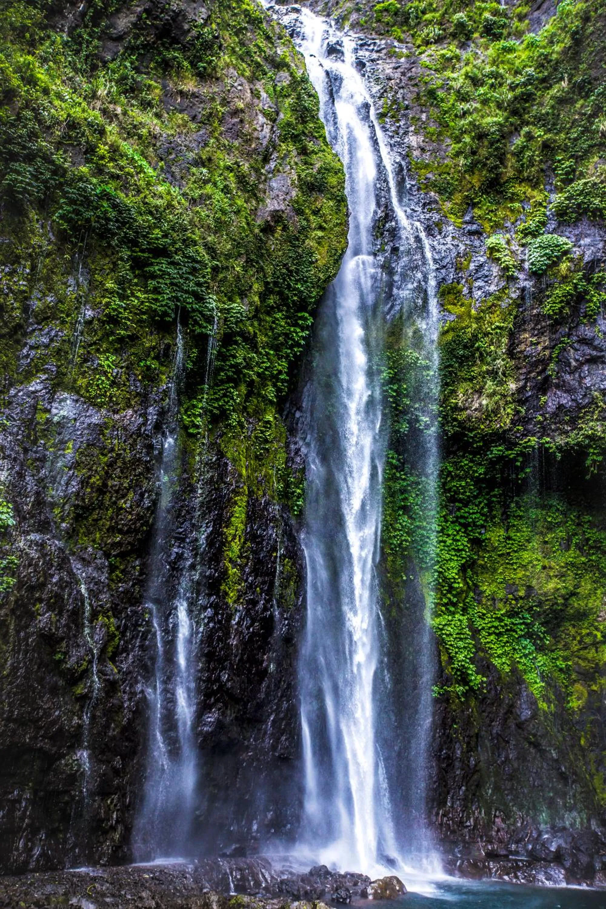 Volivoli Beach Resort