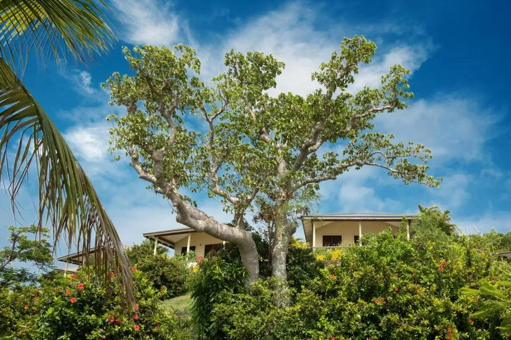 Volivoli Beach Resort