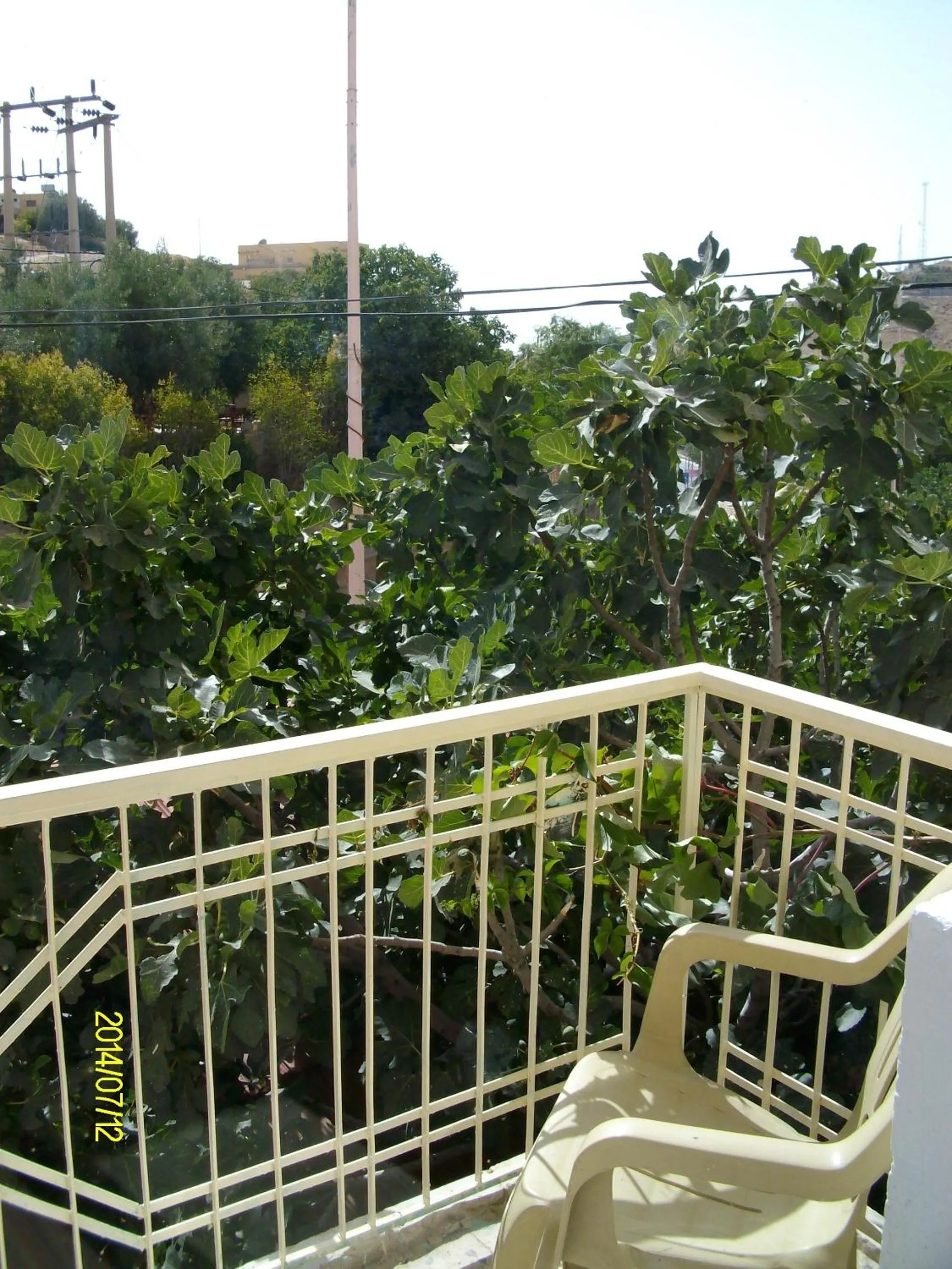 Garden view in Mussa Spring Hotel