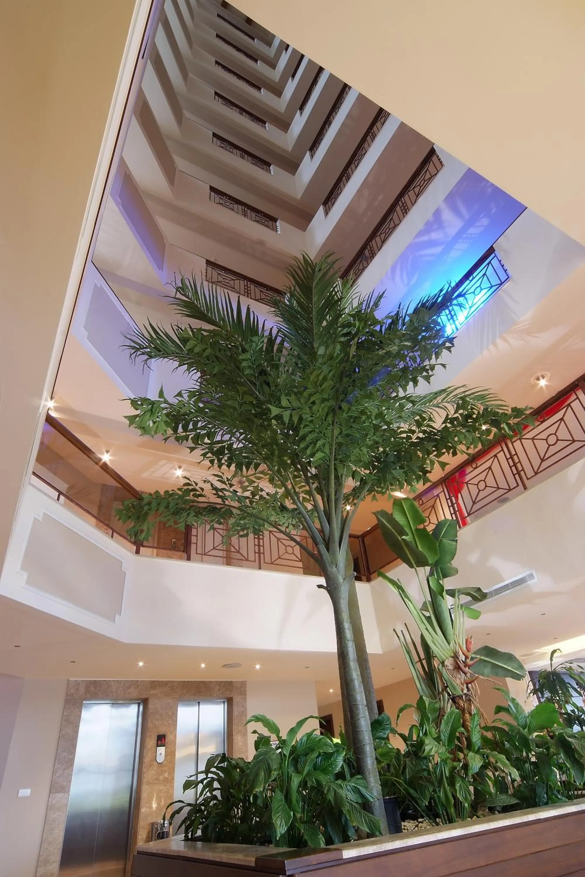 Lobby or reception in Princessa Hotel