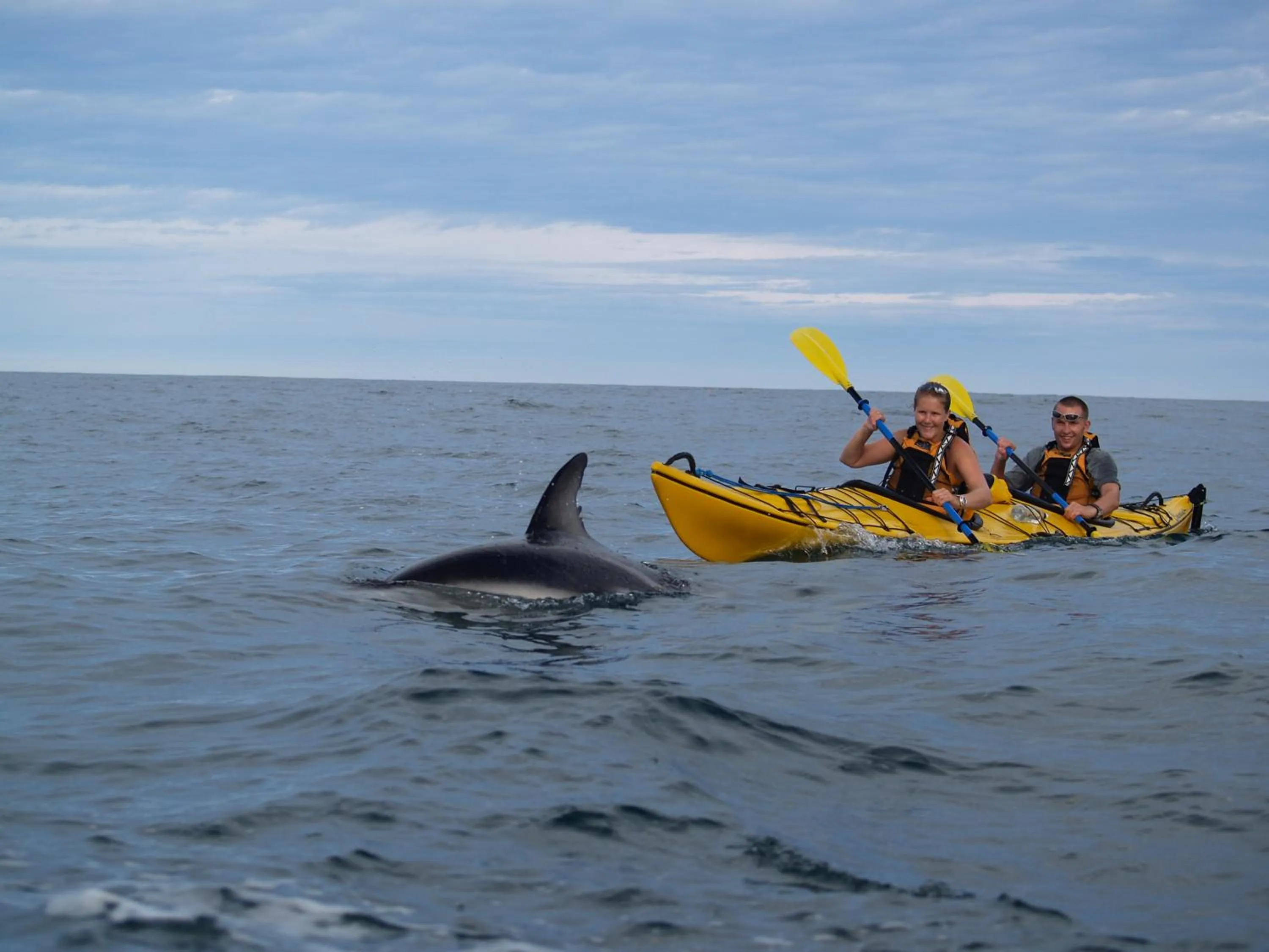 Nearby landmark in Alpine-Pacific Holiday Park