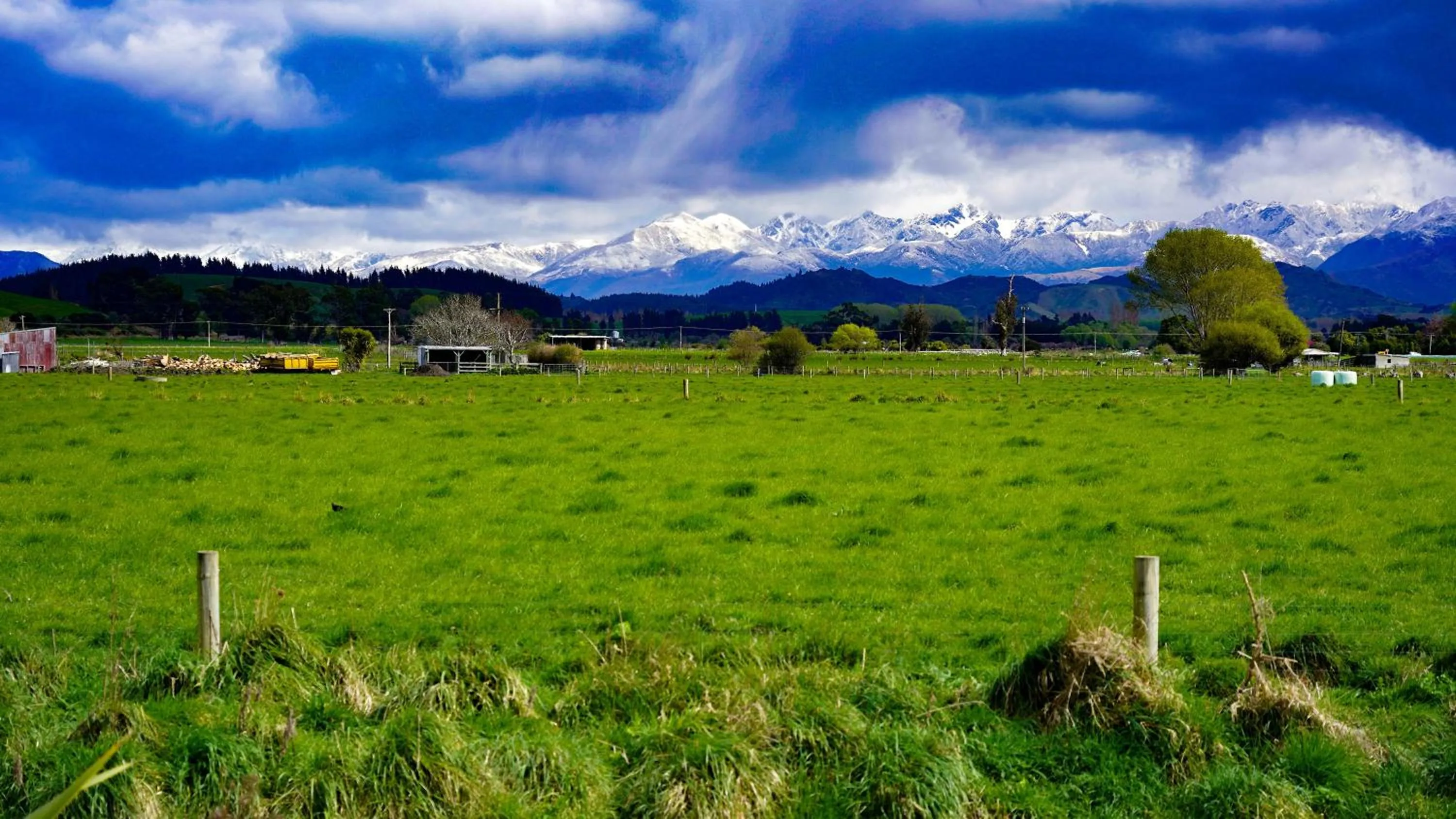 Spring in Alpine-Pacific Holiday Park