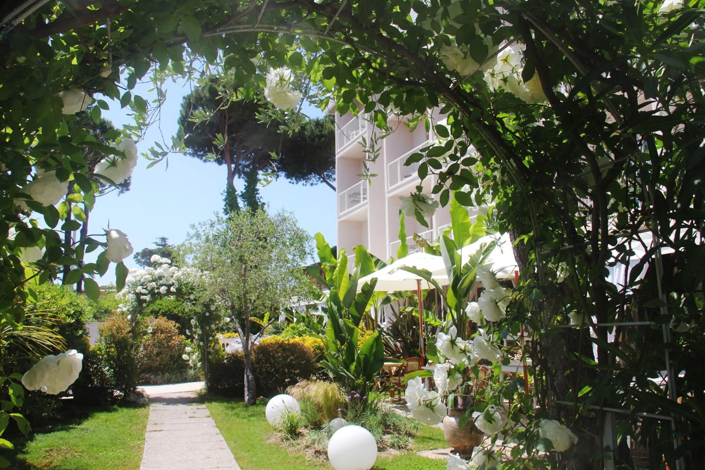 Garden in Hotel Bijou