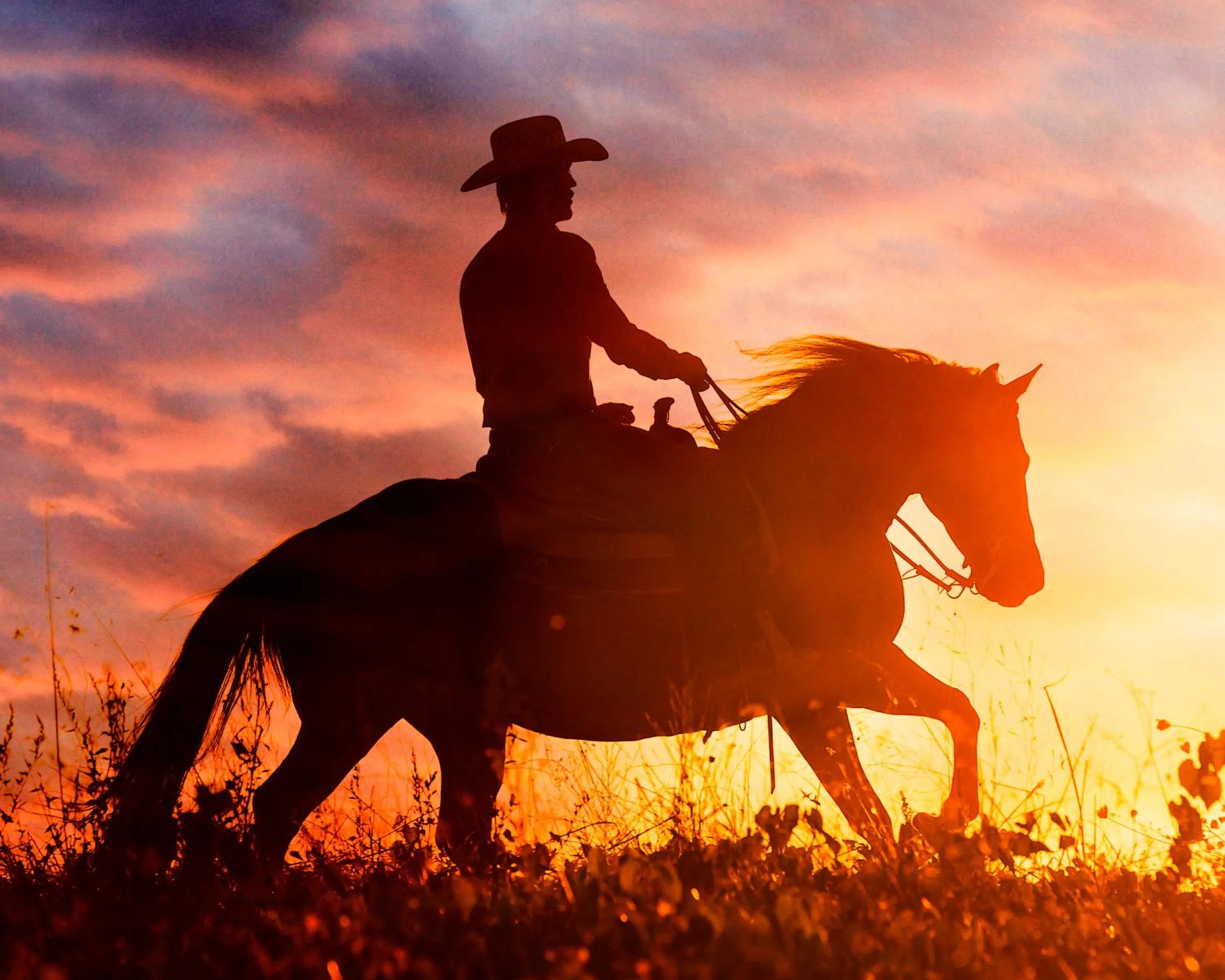 Activities in Castellare Di Tonda