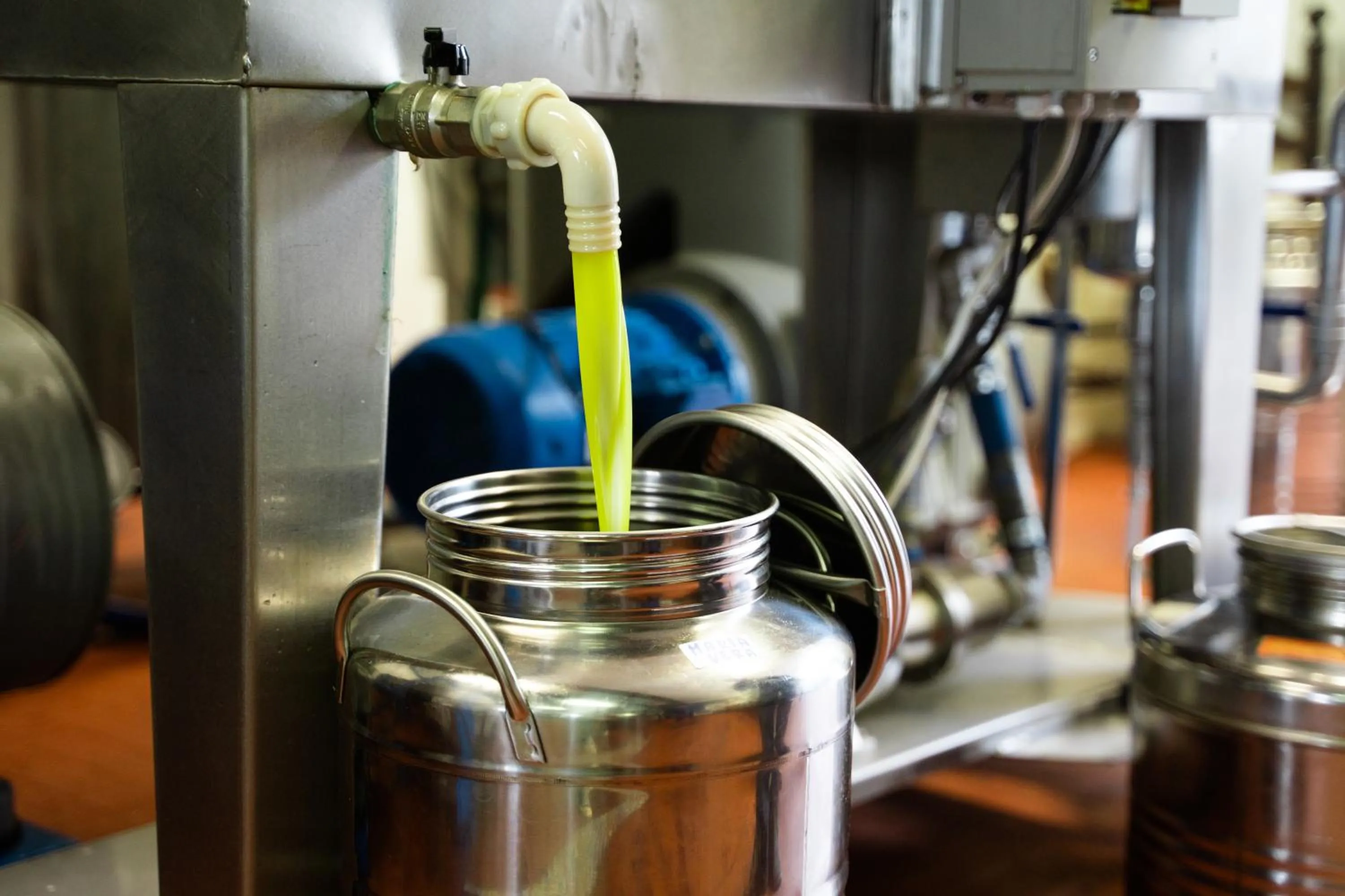 Restaurant/places to eat in Agriturismo Vecchio Borgo Di Inalbi