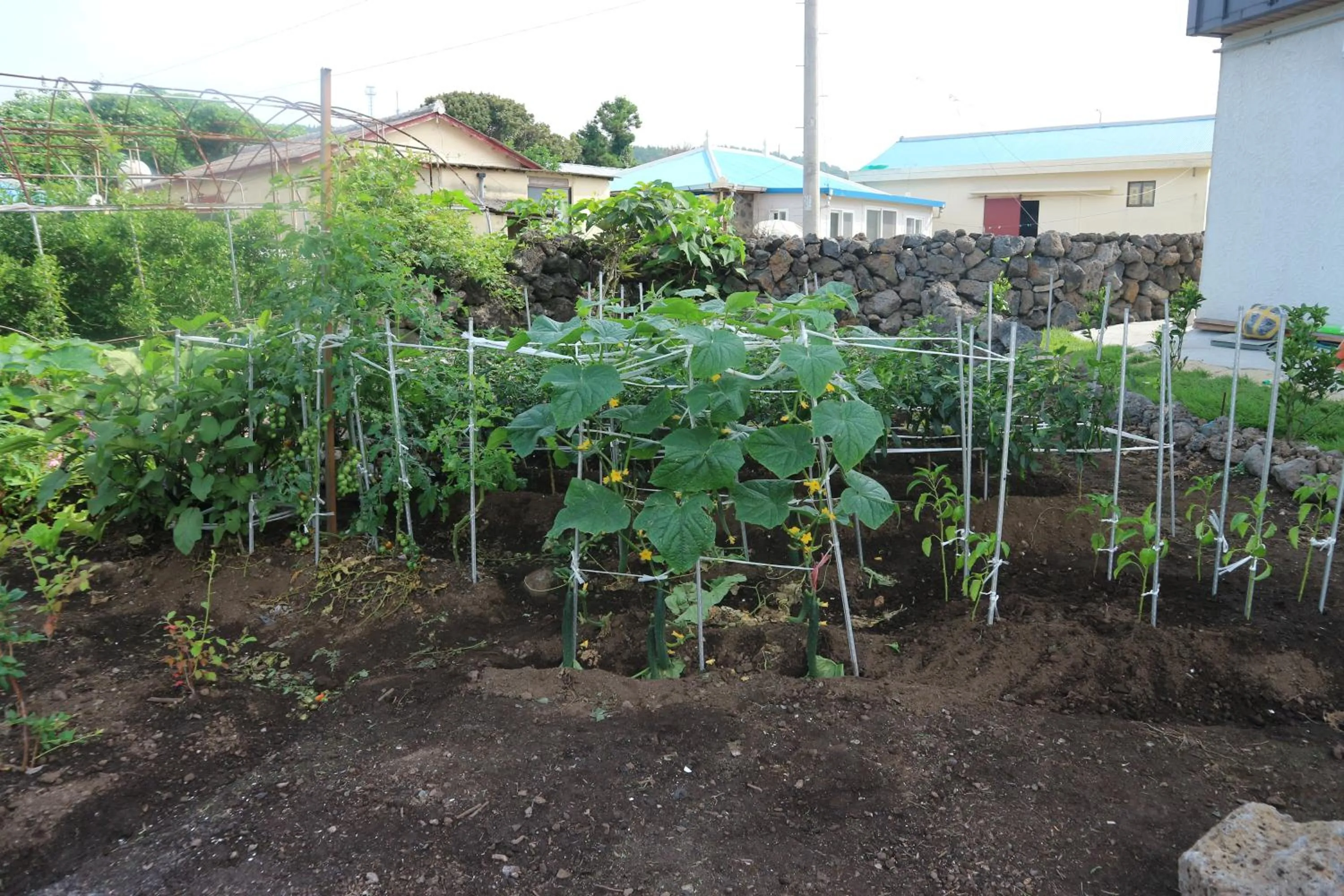 Other in Blue Island Guesthouse