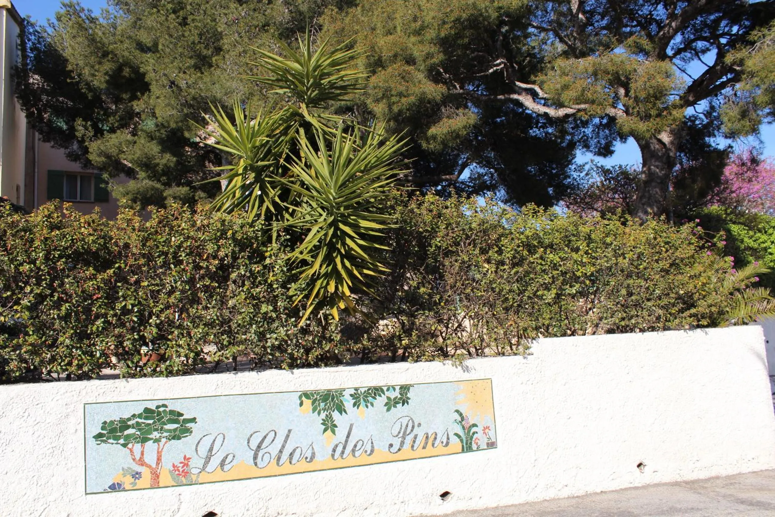 Garden in Hôtel Le Clos des Pins