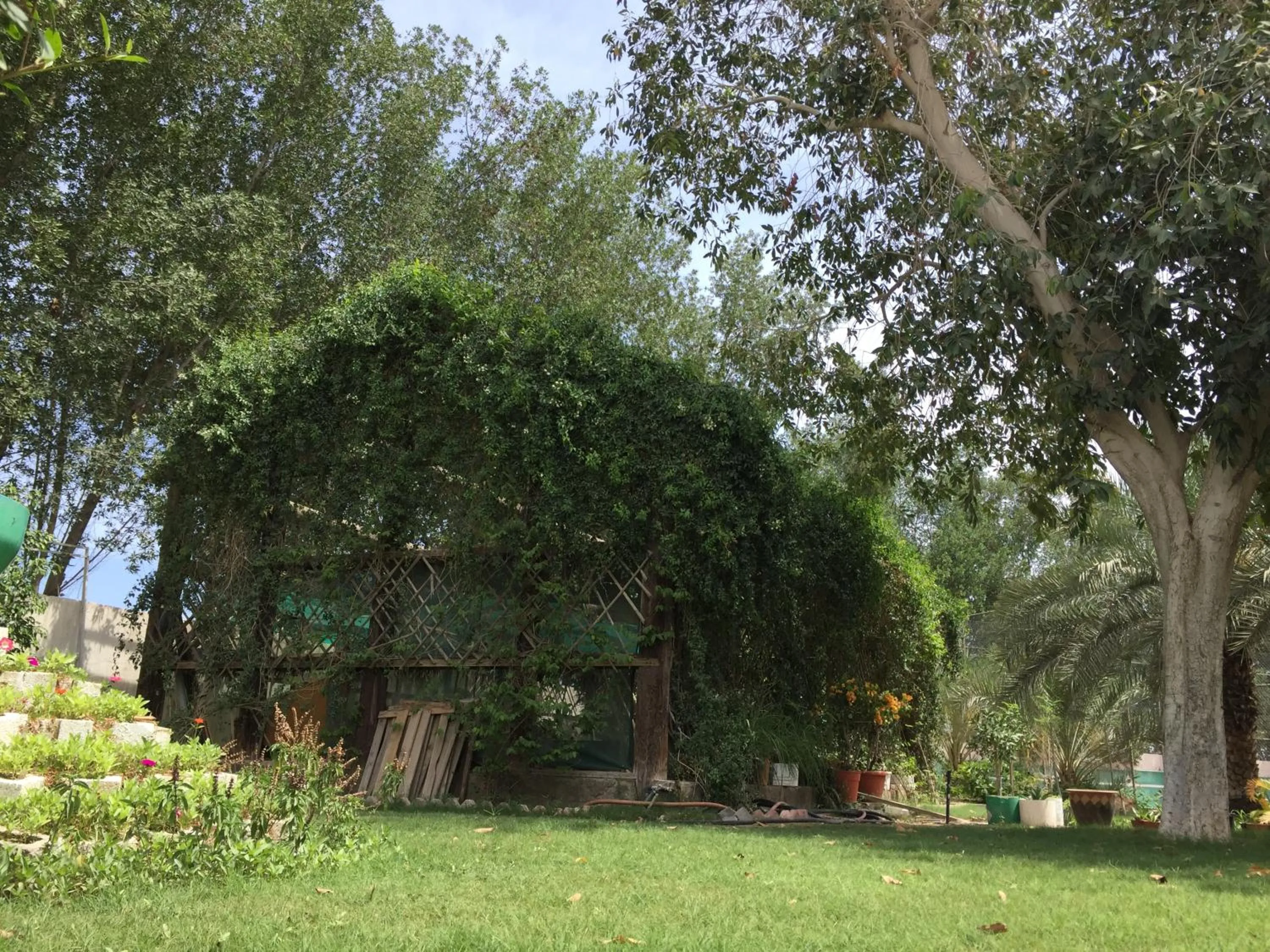 Hotel Al Madinah Holiday