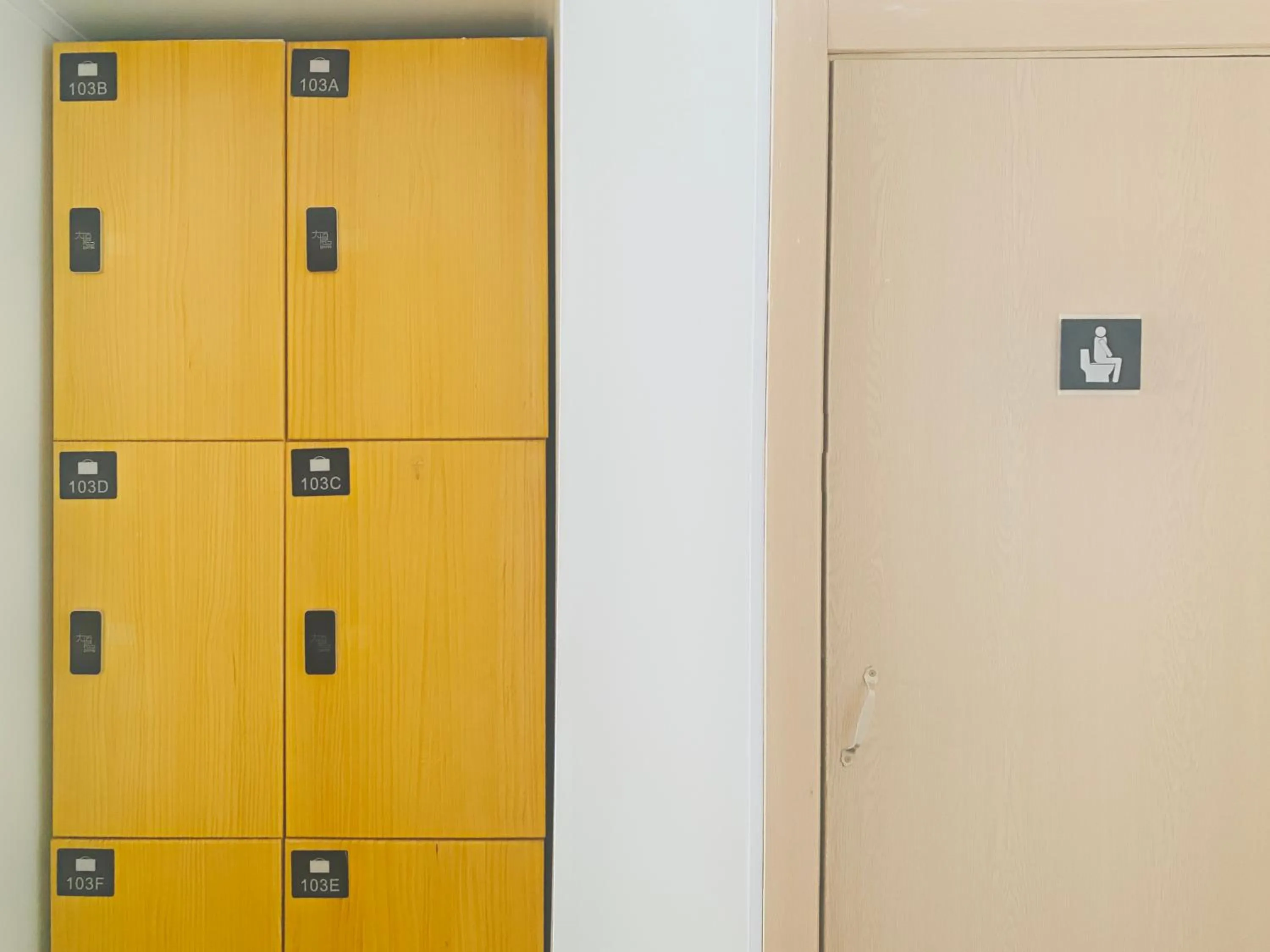 microwave in Dayin International Youth Hostel - Oriental Pearl & Lujiazui
