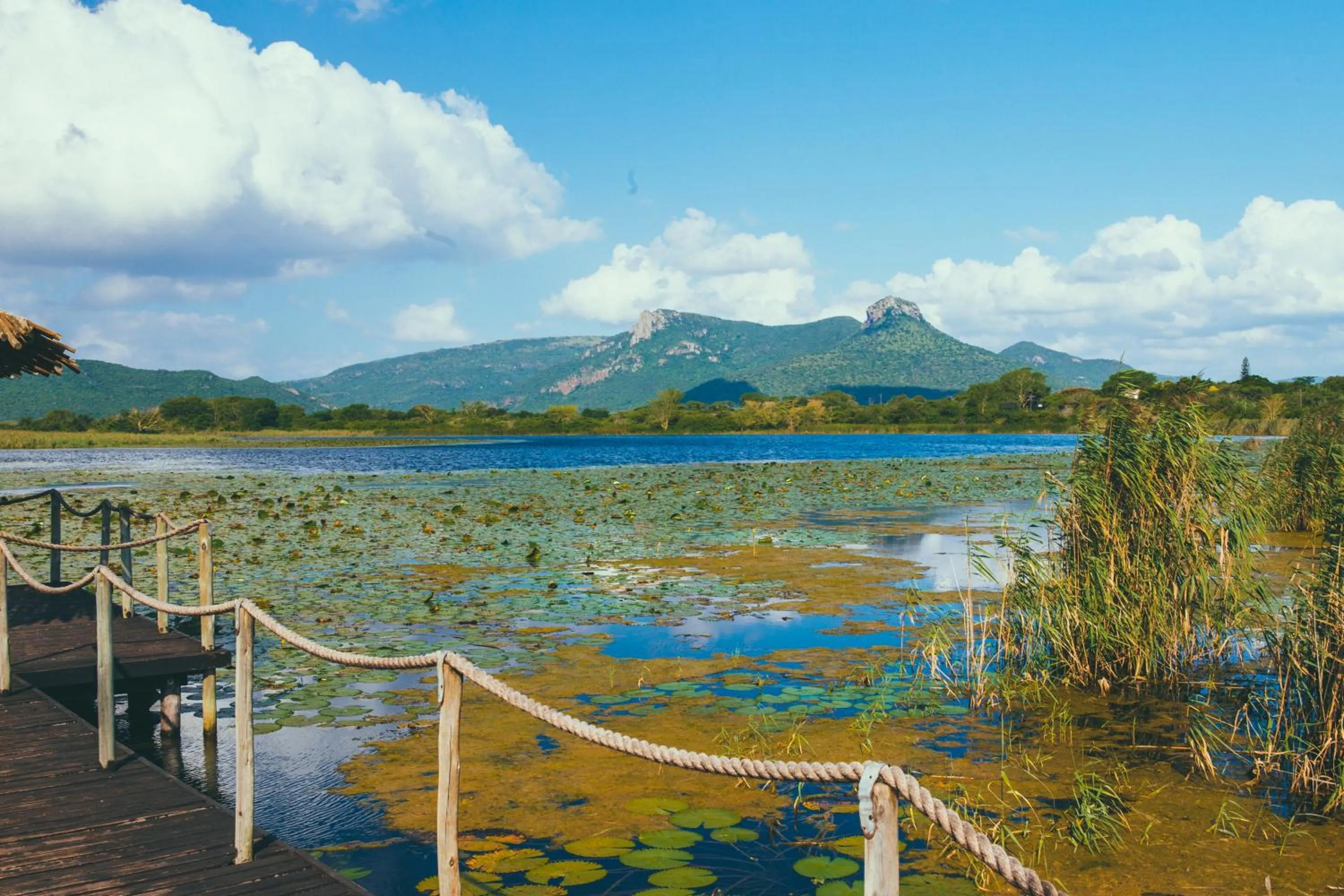 View (from property/room) in Ghost Mountain Inn