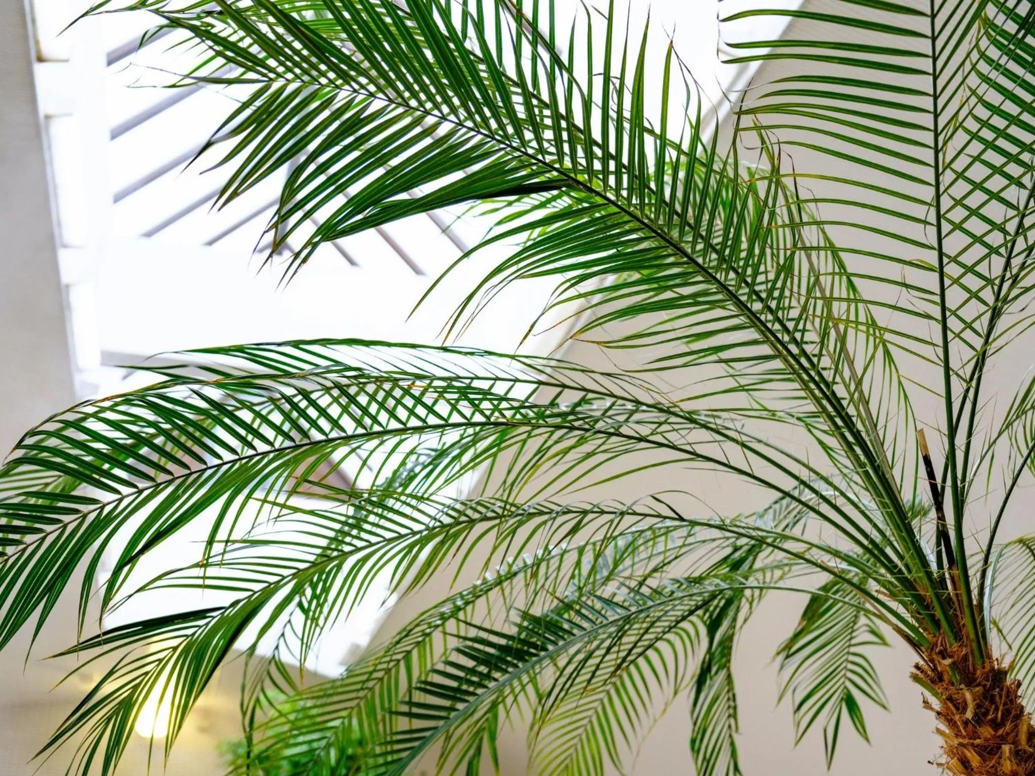 Public Bath in Sagayamato Onsen Hotel Amandi