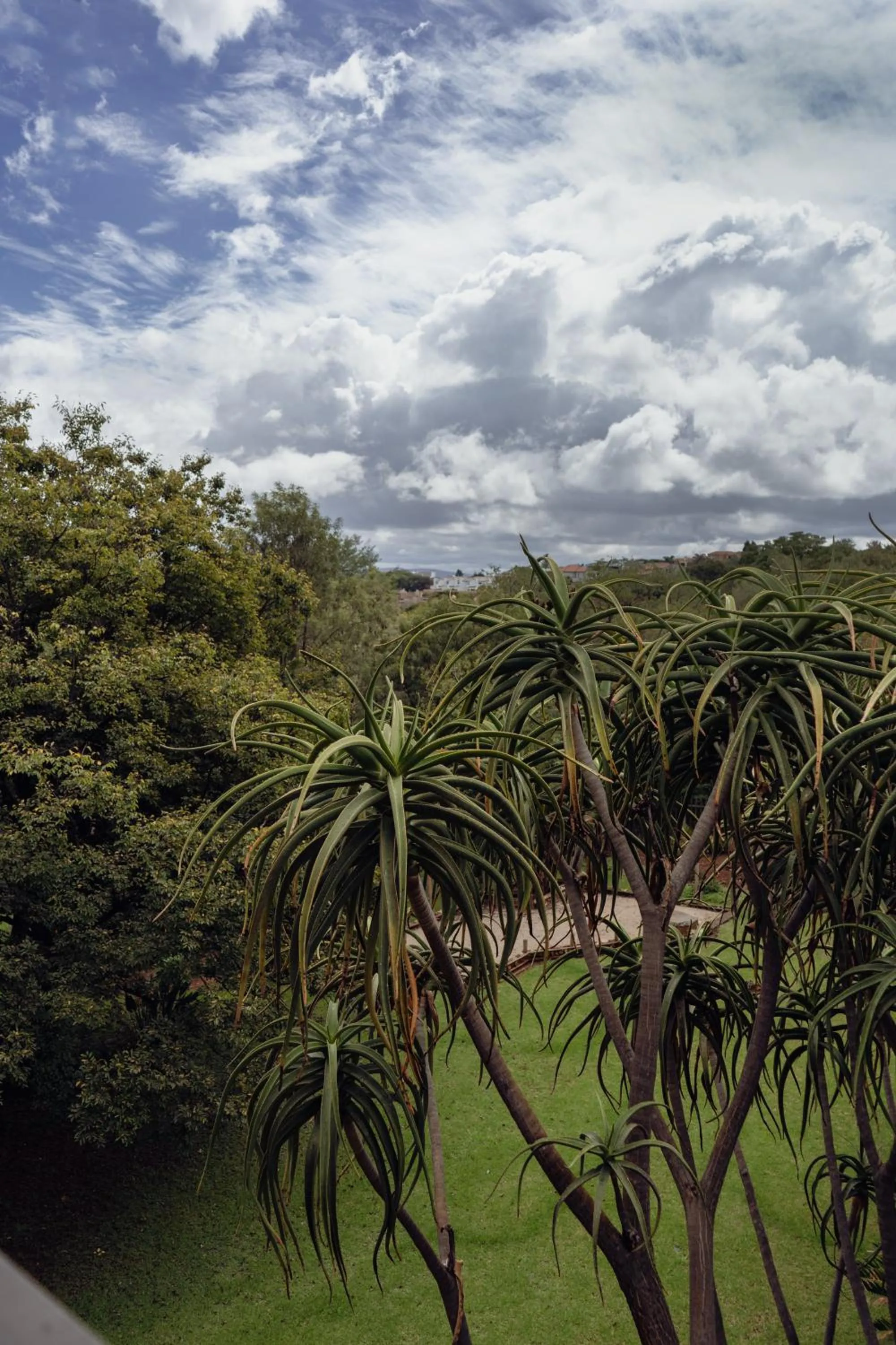 View (from property/room) in Afrique Boutique Ruimsig