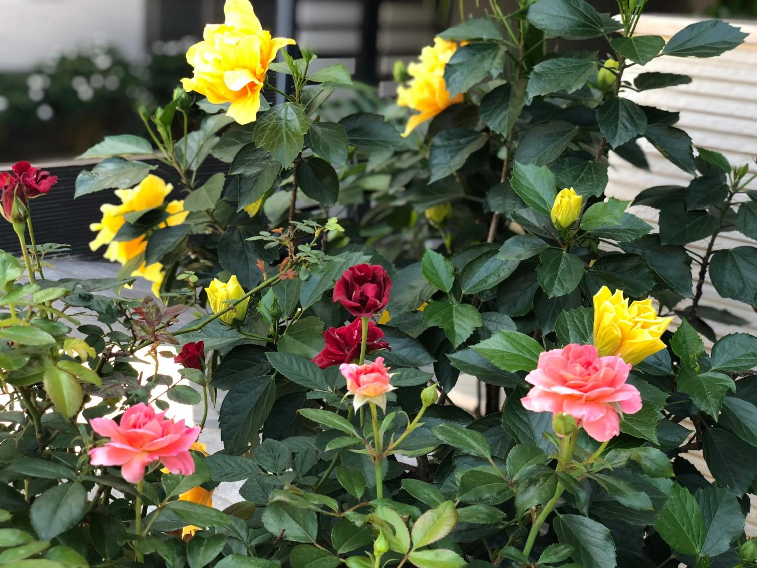 Communal lounge/ TV room in Punt Hotel