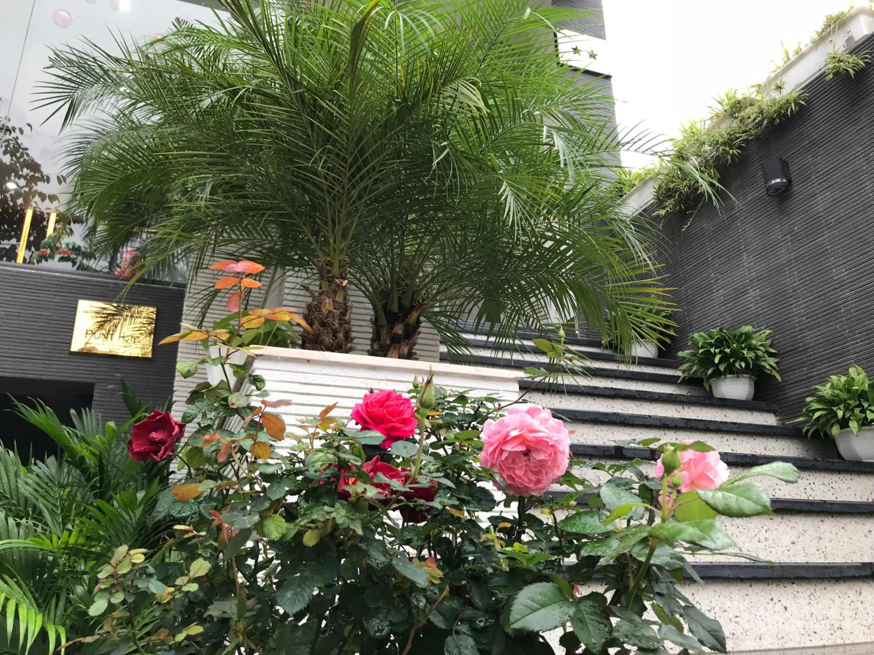 Balcony/Terrace in Punt Hotel